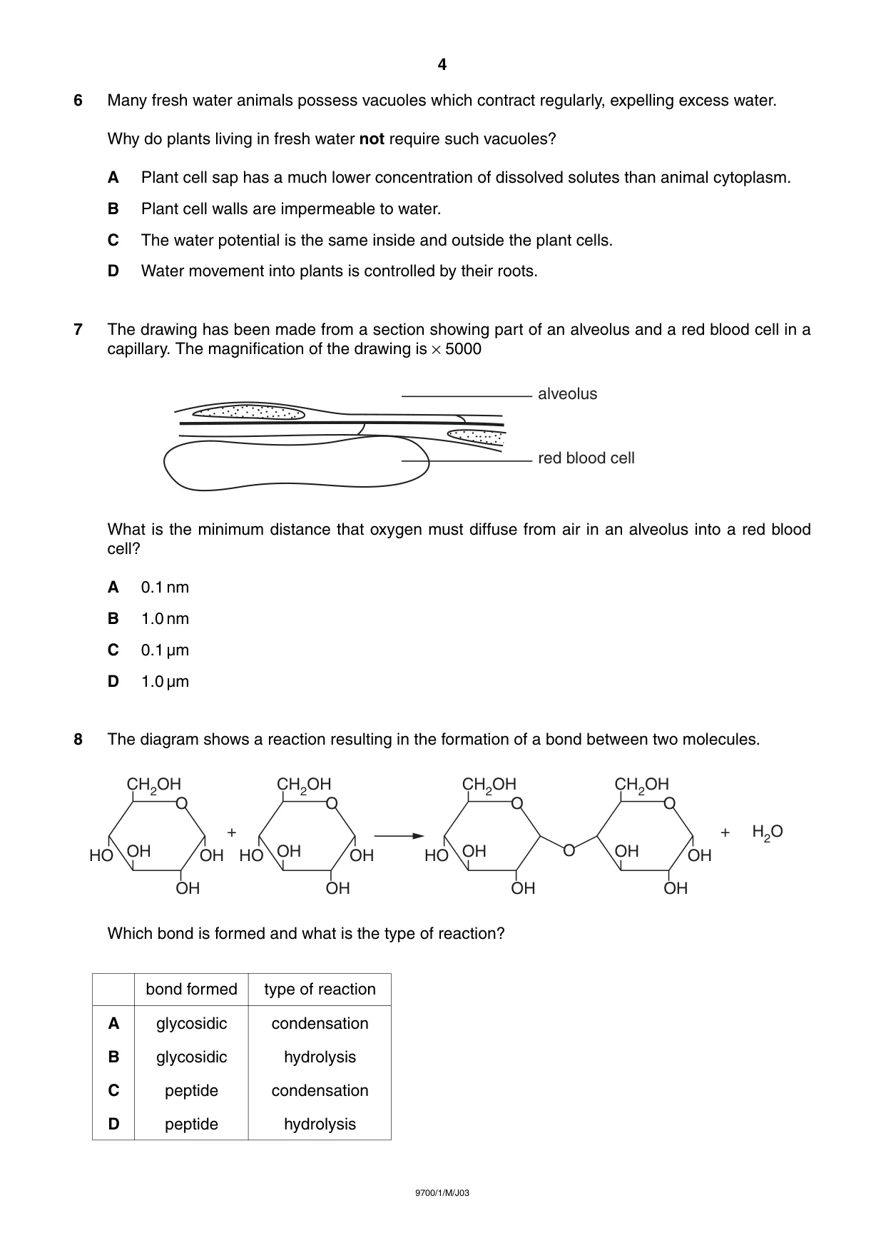 Cambridge A Level Biology 9700 2003 May/June Paper 1 · Variant 1 question paper, page 4 of 16