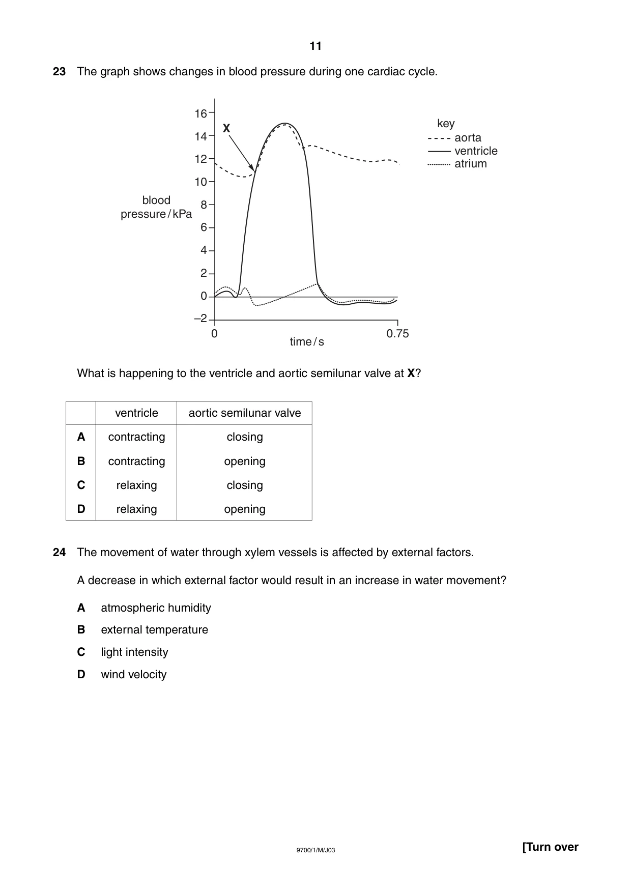 Cambridge A Level Biology 9700 2003 May/June Paper 1 · Variant 1 question paper, page 11 of 16