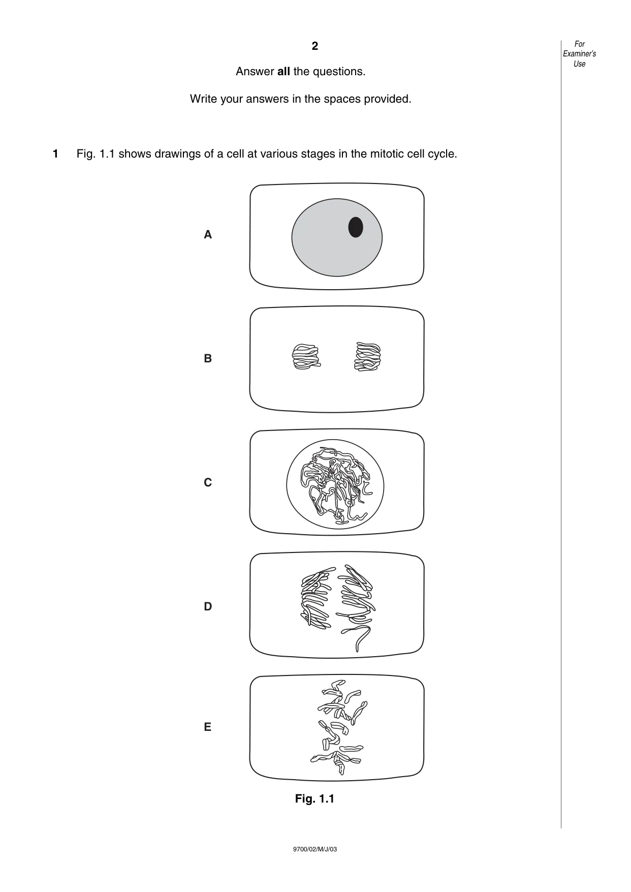 Cambridge A Level Biology 9700 2003 May/June Paper 2 · Variant 1 question paper, page 2 of 12