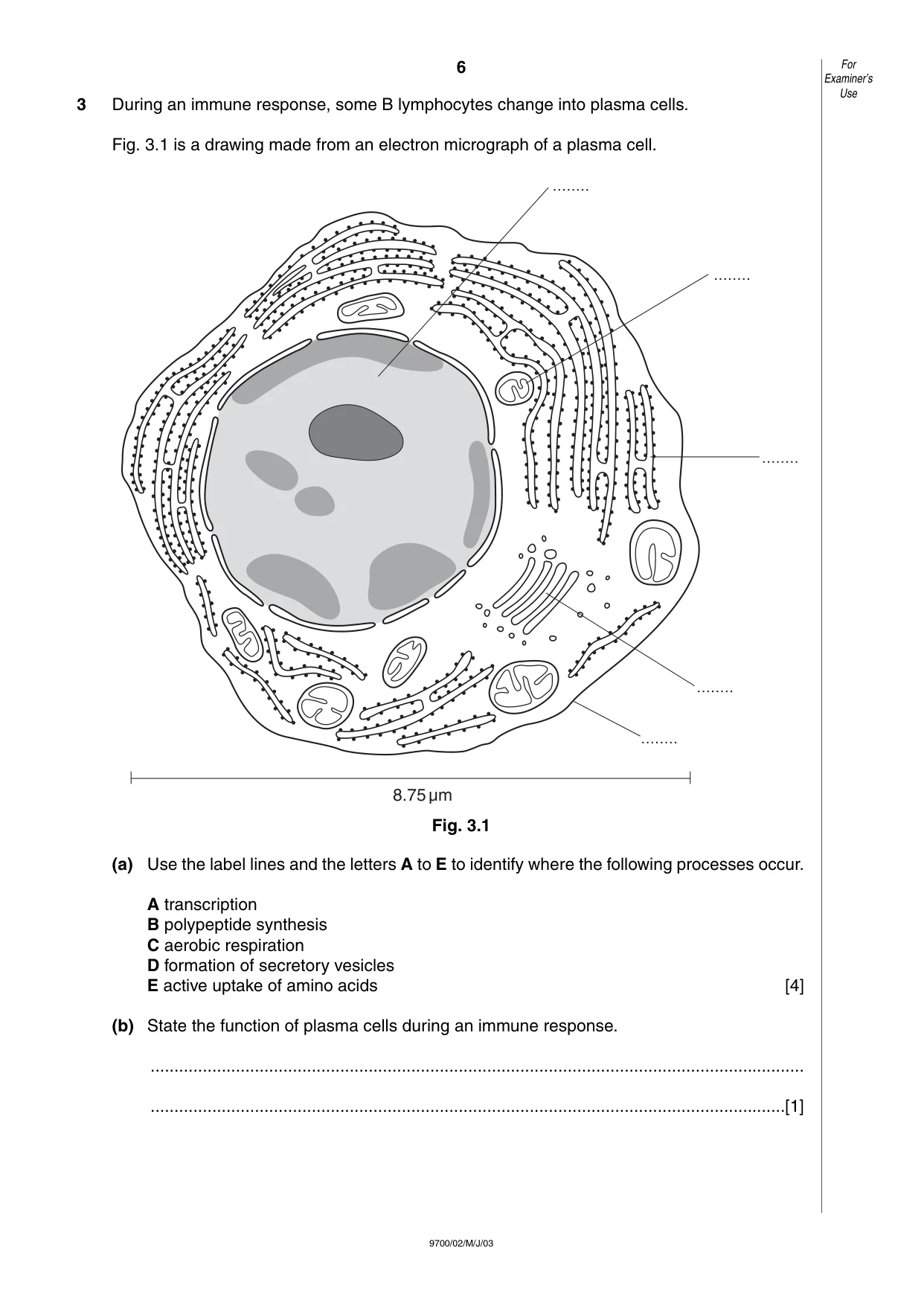 Cambridge A Level Biology 9700 2003 May/June Paper 2 · Variant 1 question paper, page 6 of 12