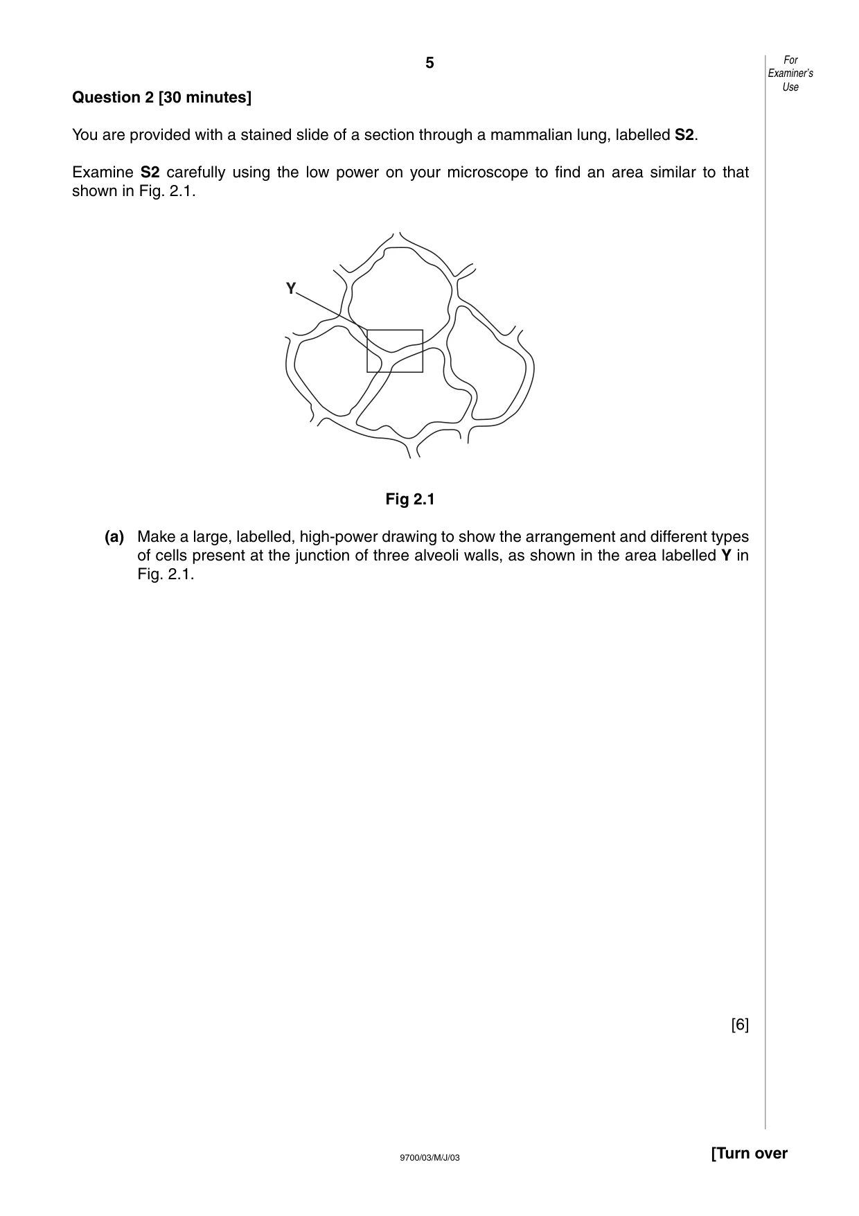 Cambridge A Level Biology 9700 2003 May/June Paper 3 · Variant 1 question paper, page 5 of 8