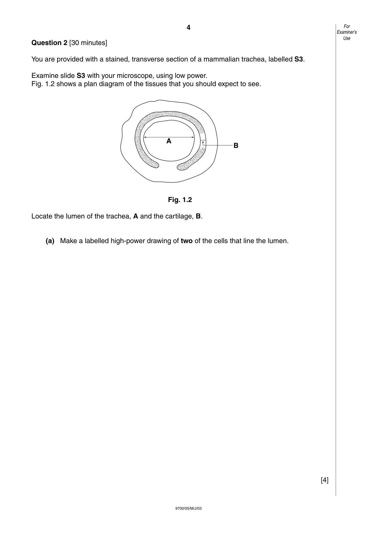 Cambridge A Level Biology 9700 2003 May/June Paper 5 · Variant 1 question paper, page 4 of 8