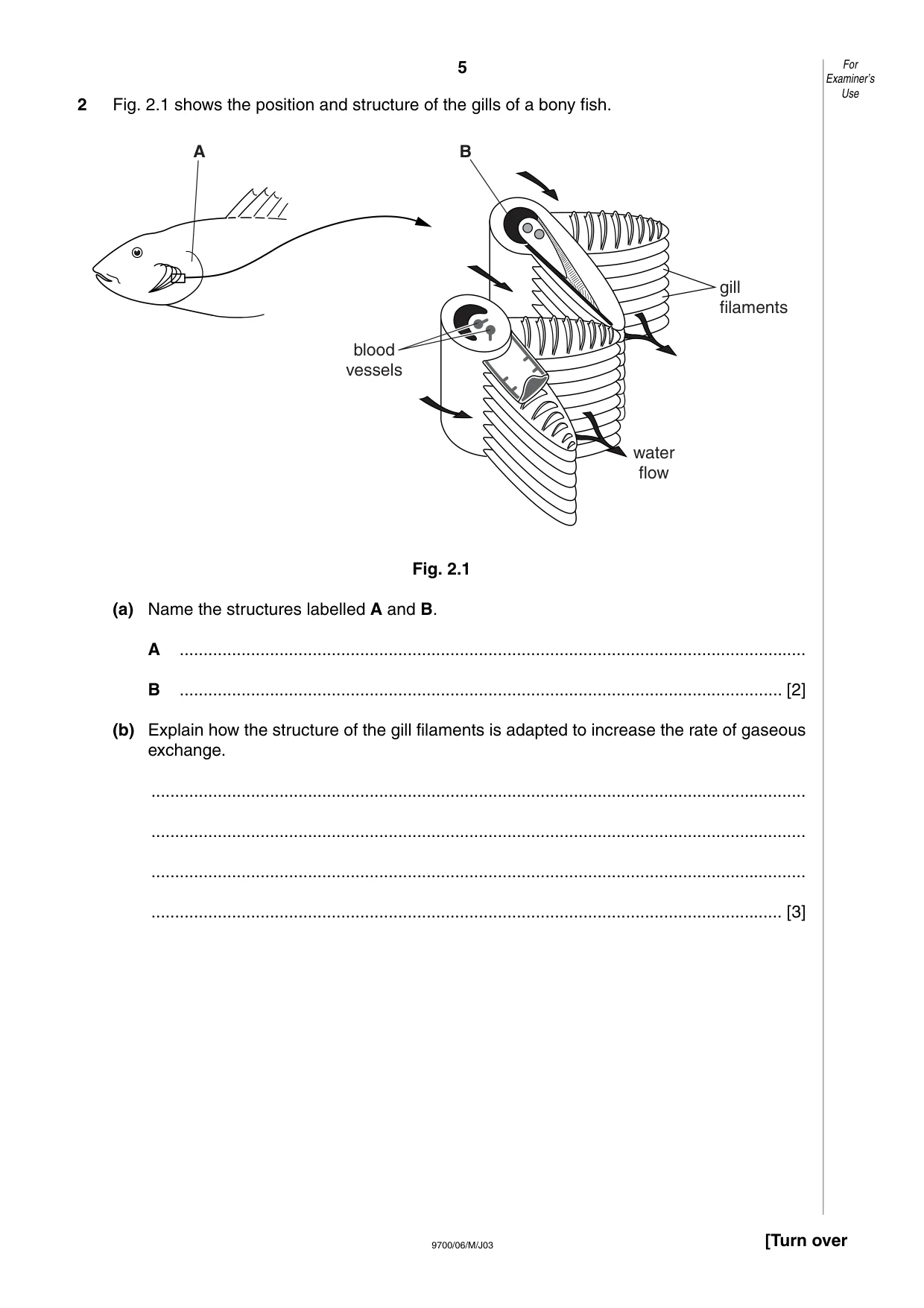 Cambridge A Level Biology 9700 2003 May/June Paper 6 · Variant 1 question paper, page 5 of 28