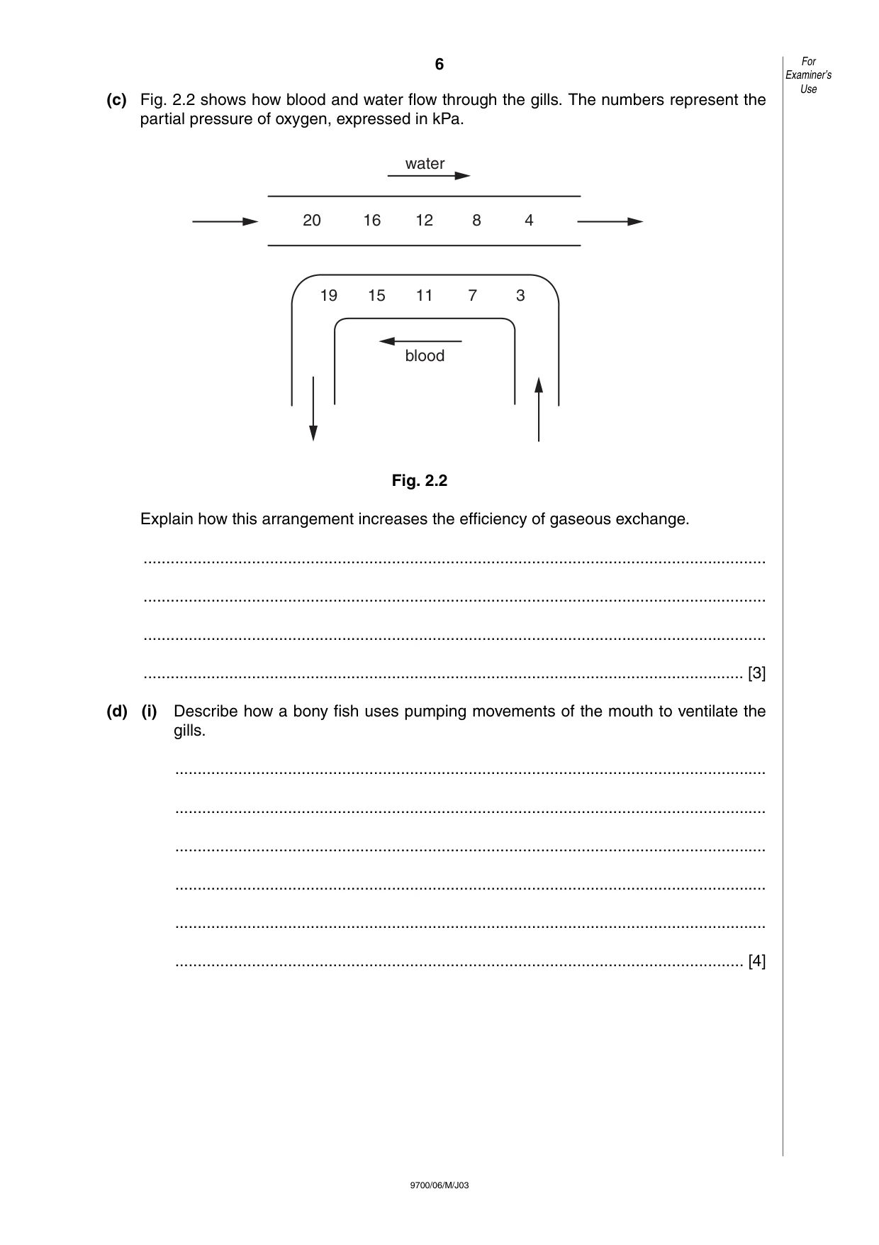 Cambridge A Level Biology 9700 2003 May/June Paper 6 · Variant 1 question paper, page 6 of 28