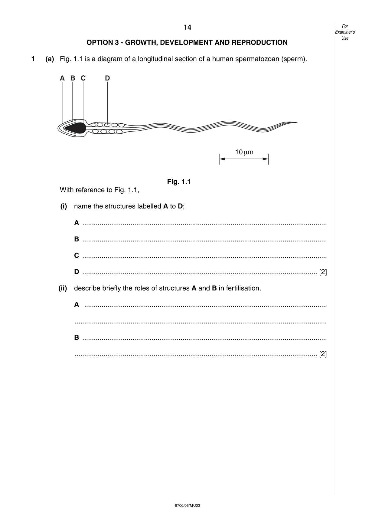 Cambridge A Level Biology 9700 2003 May/June Paper 6 · Variant 1 question paper, page 14 of 28