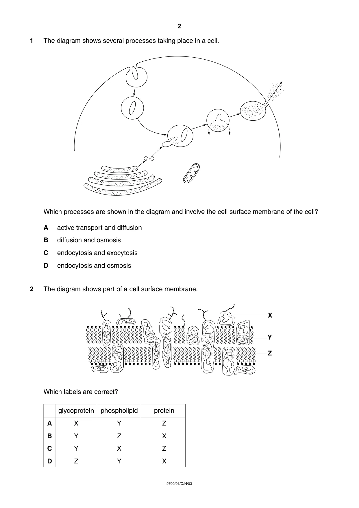 Cambridge A Level Biology 9700 2003 Oct/Nov Paper 1 · Variant 1 question paper, page 2 of 16