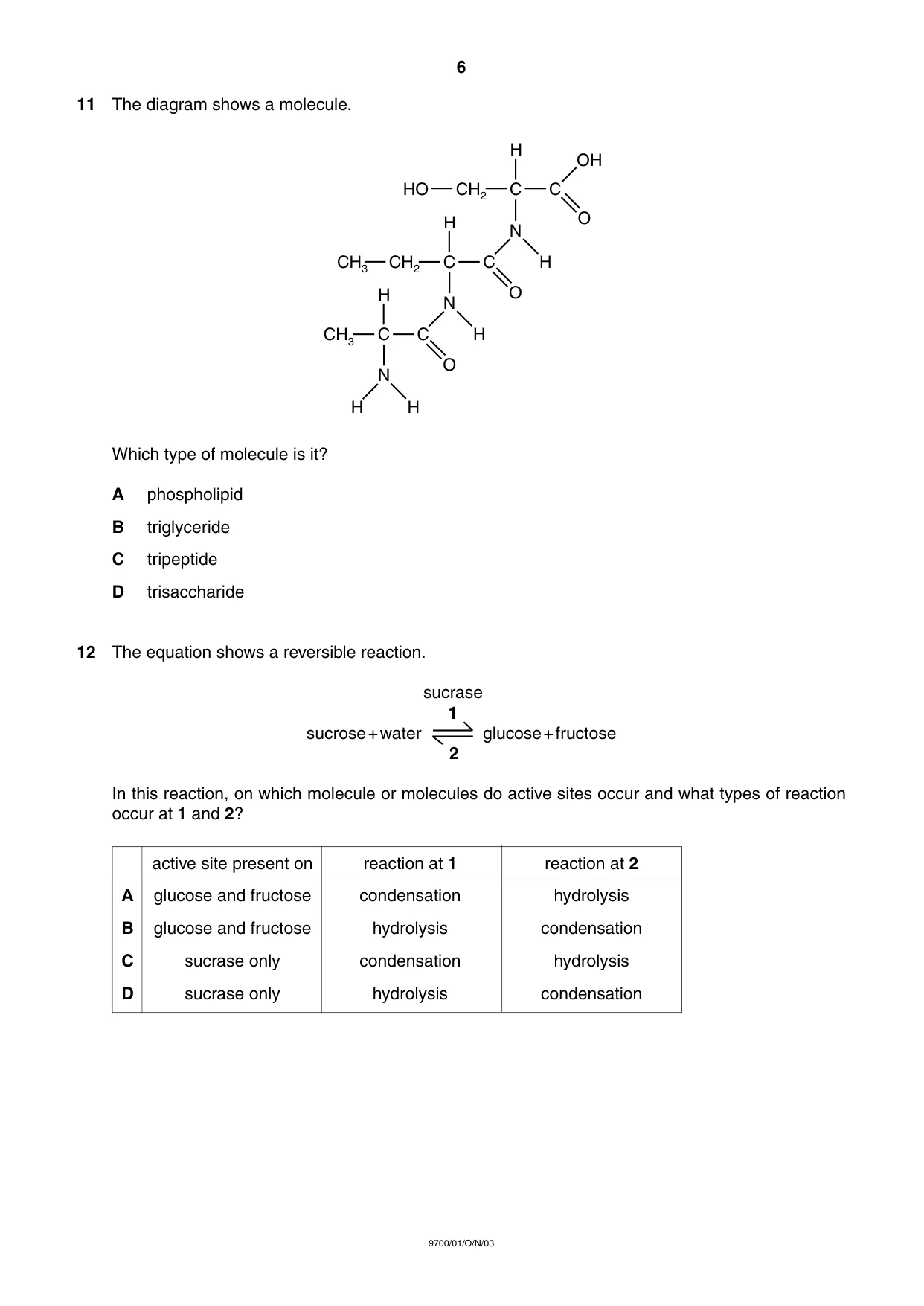 Cambridge A Level Biology 9700 2003 Oct/Nov Paper 1 · Variant 1 question paper, page 6 of 16