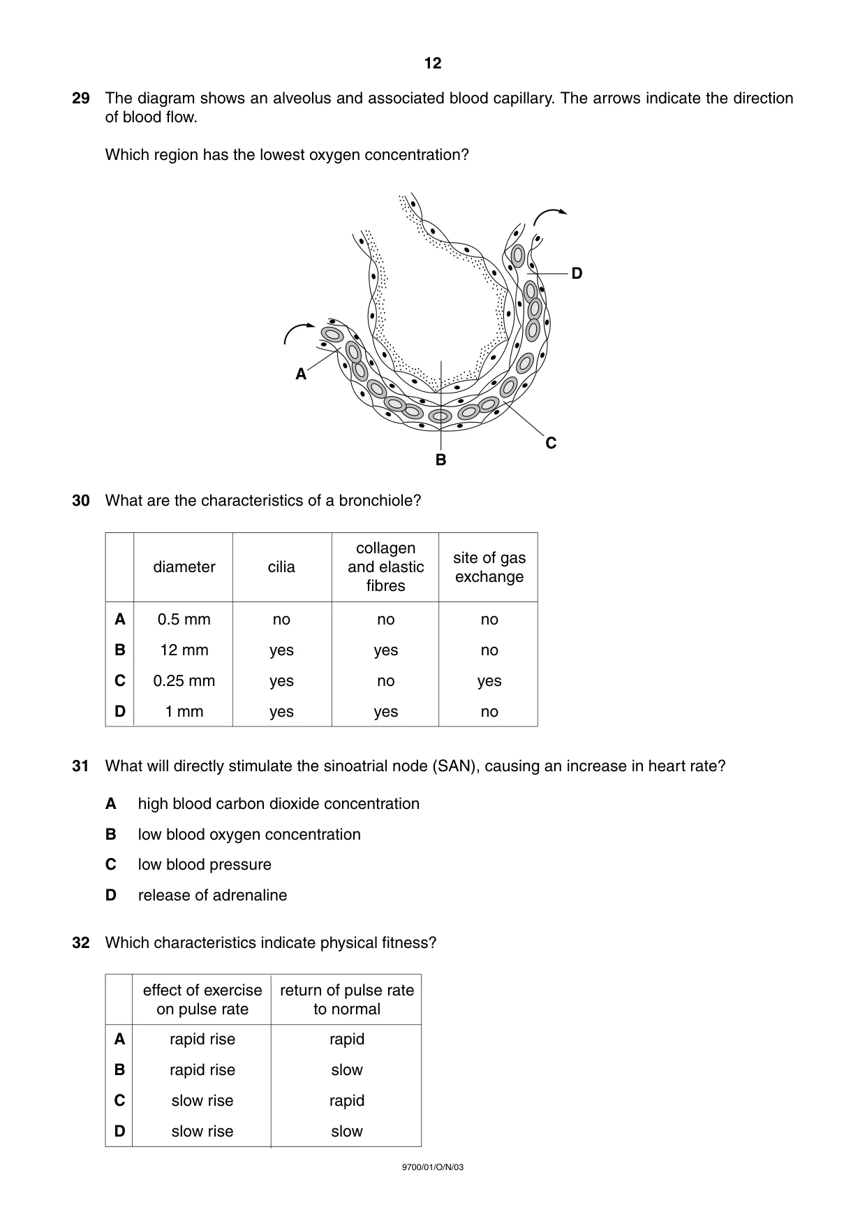 Cambridge A Level Biology 9700 2003 Oct/Nov Paper 1 · Variant 1 question paper, page 12 of 16