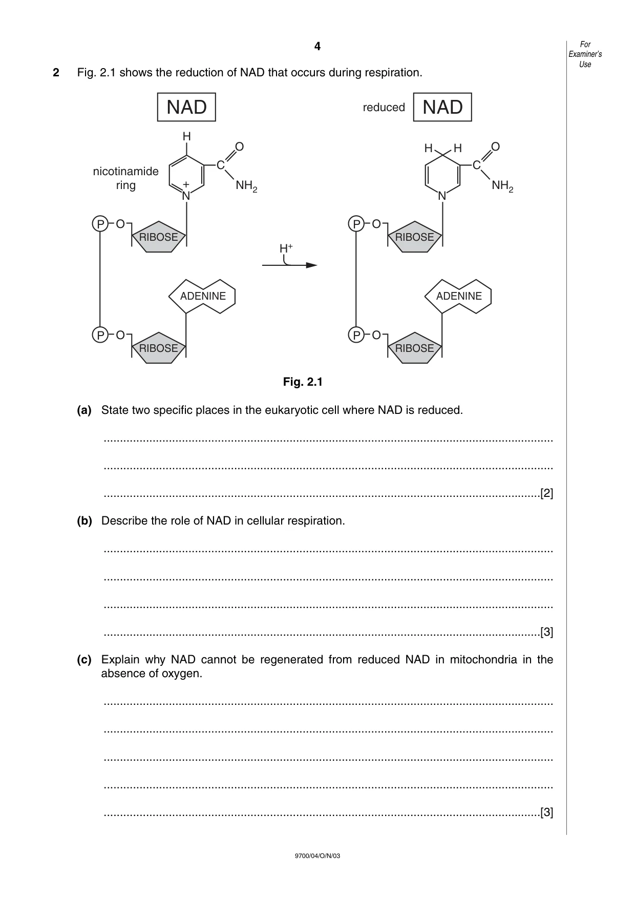 Cambridge A Level Biology 9700 2003 Oct/Nov Paper 4 · Variant 1 question paper, page 4 of 12