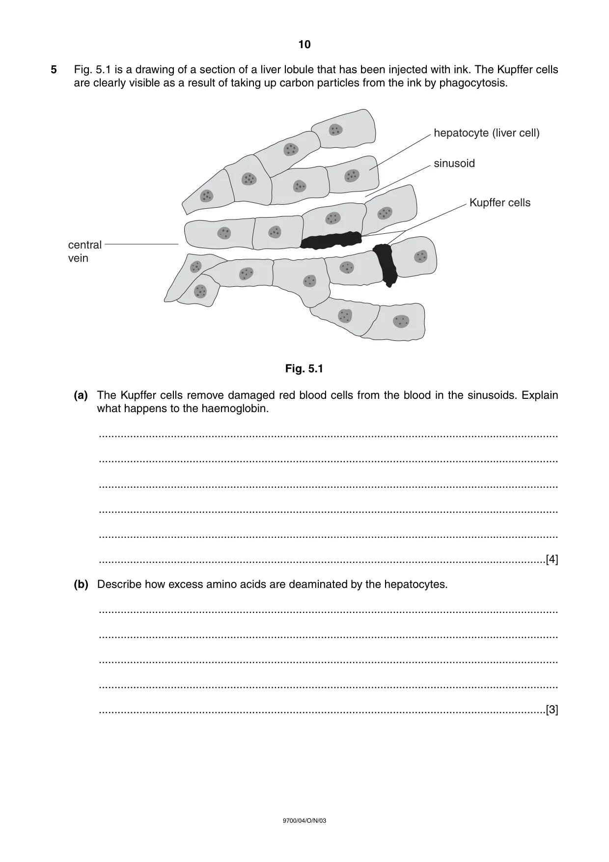 Cambridge A Level Biology 9700 2003 Oct/Nov Paper 4 · Variant 1 question paper, page 10 of 12