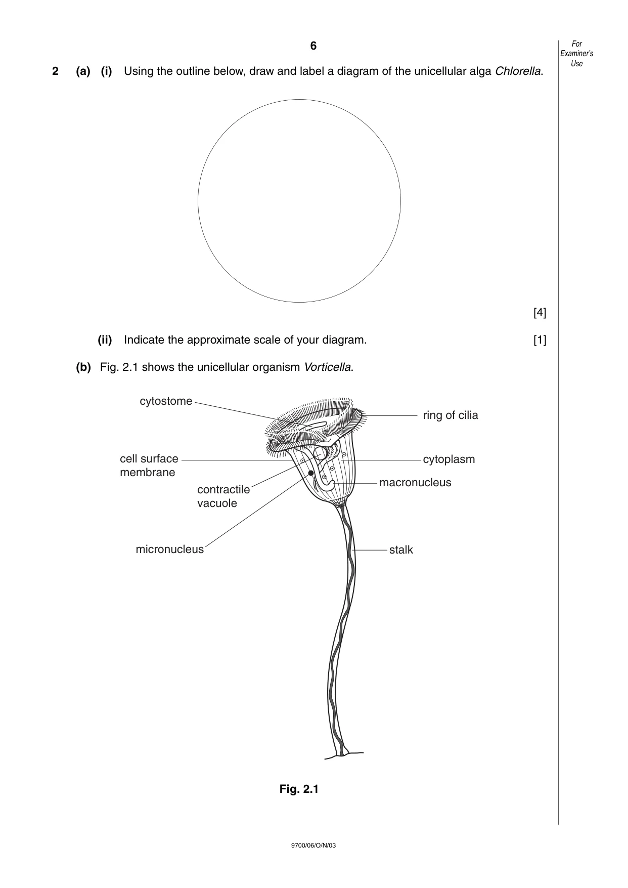 Cambridge A Level Biology 9700 2003 Oct/Nov Paper 6 · Variant 1 question paper, page 6 of 24