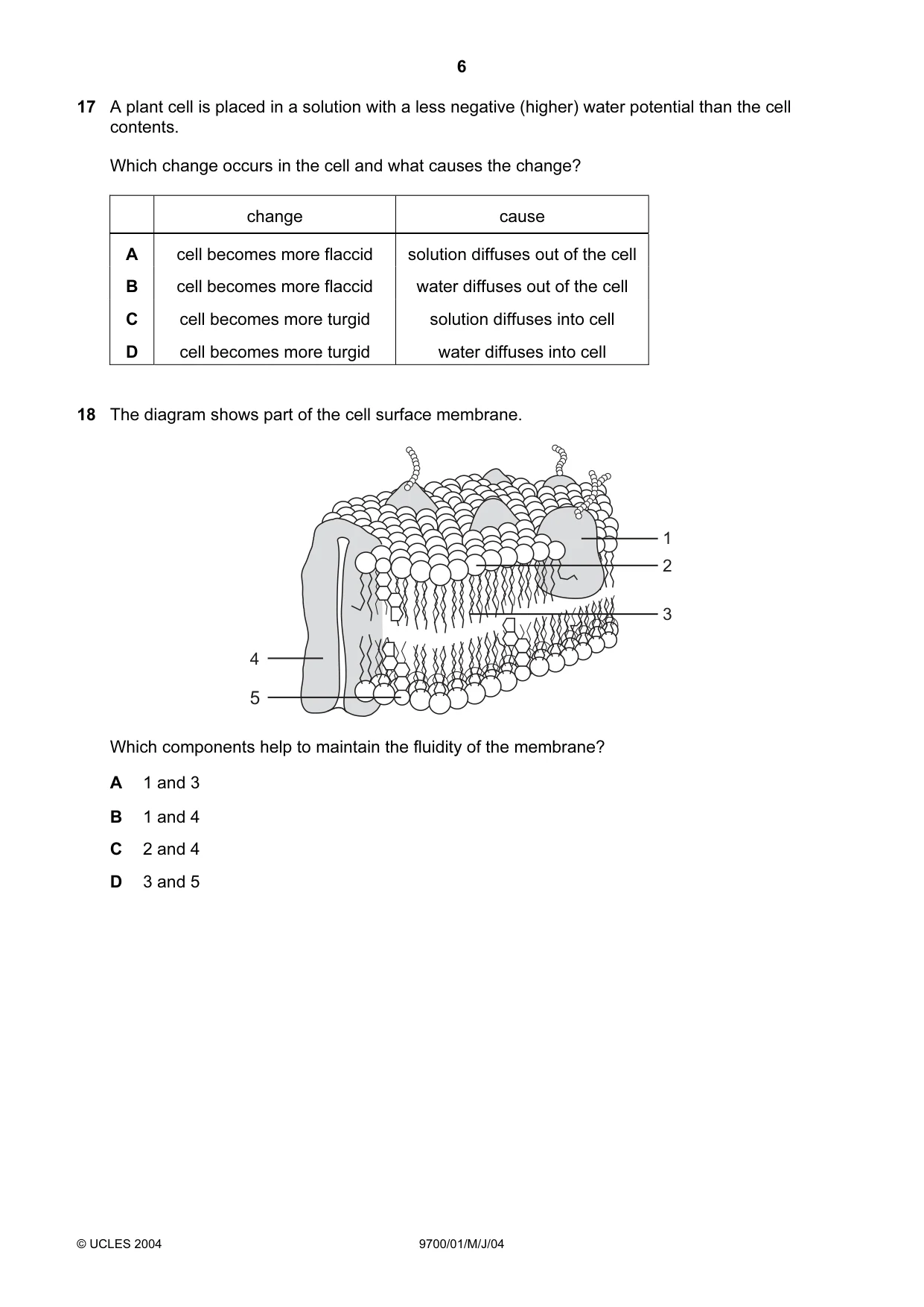 Cambridge A Level Biology 9700 2004 May/June Paper 1 · Variant 1 question paper, page 6 of 16