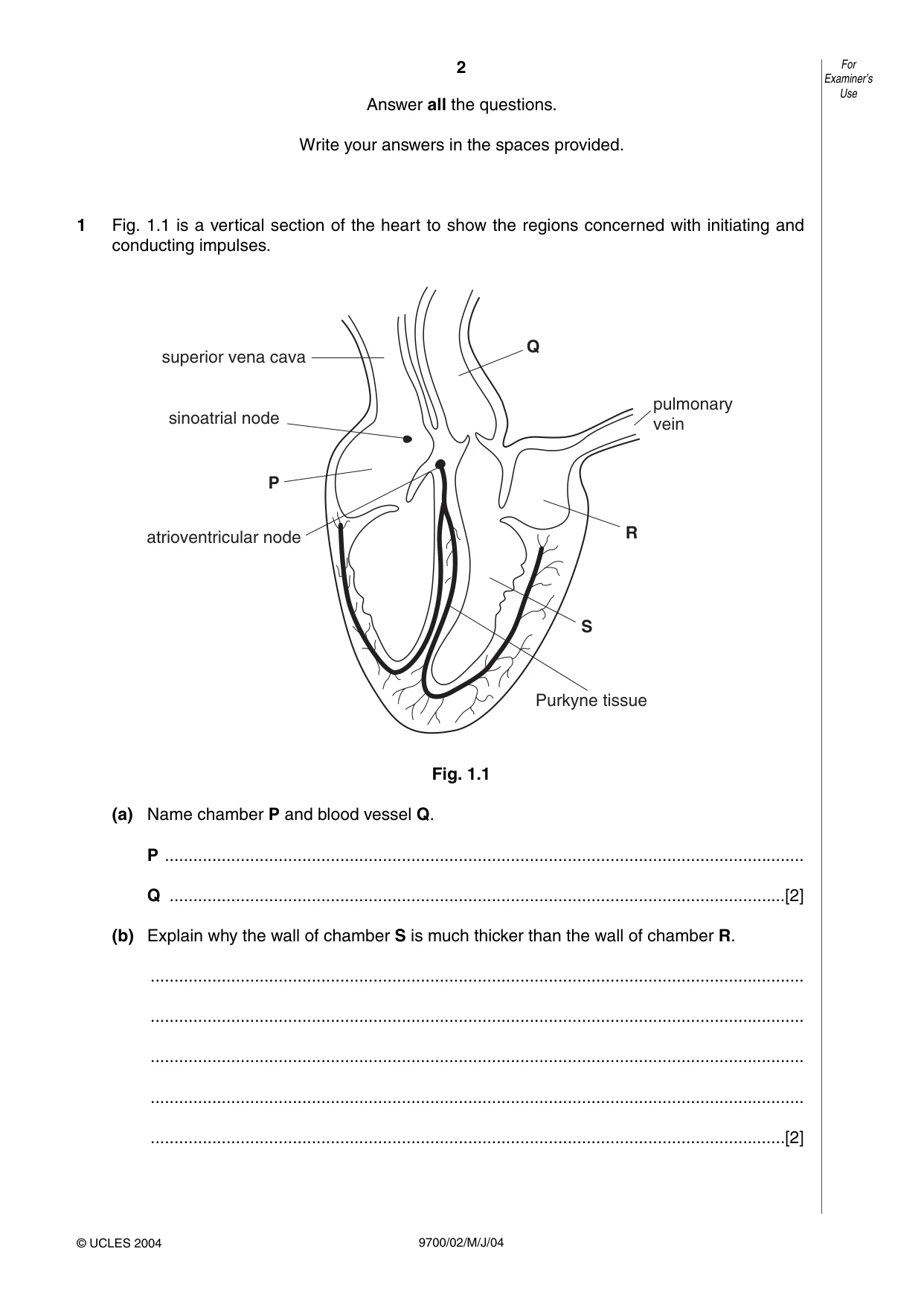 Cambridge A Level Biology 9700 2004 May/June Paper 2 · Variant 1 question paper, page 2 of 16