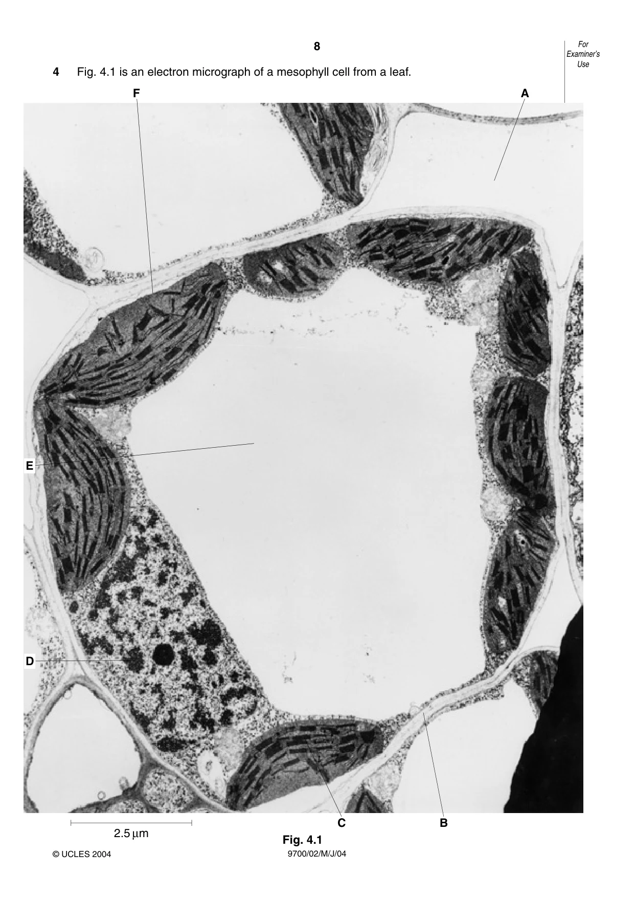 Cambridge A Level Biology 9700 2004 May/June Paper 2 · Variant 1 question paper, page 8 of 16