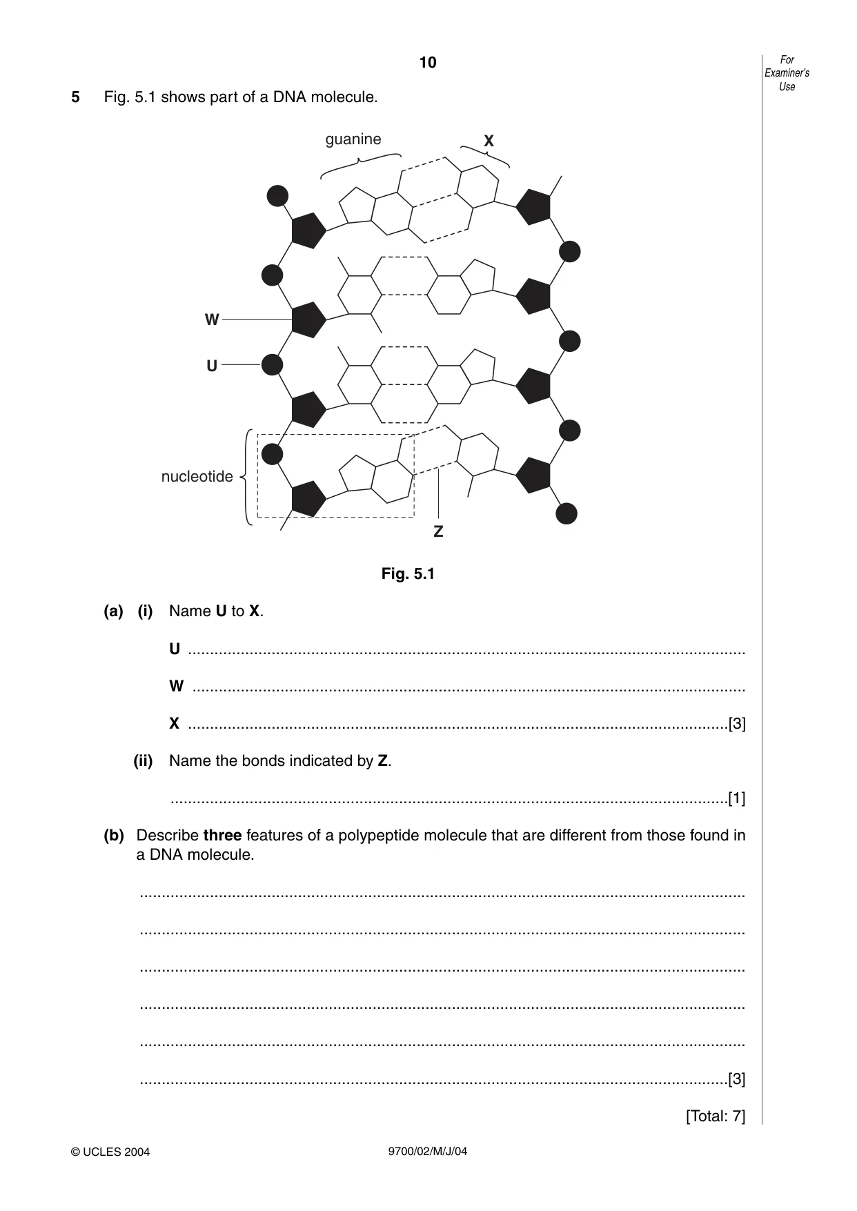 Cambridge A Level Biology 9700 2004 May/June Paper 2 · Variant 1 question paper, page 10 of 16