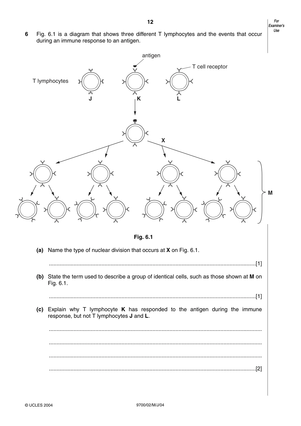 Cambridge A Level Biology 9700 2004 May/June Paper 2 · Variant 1 question paper, page 12 of 16
