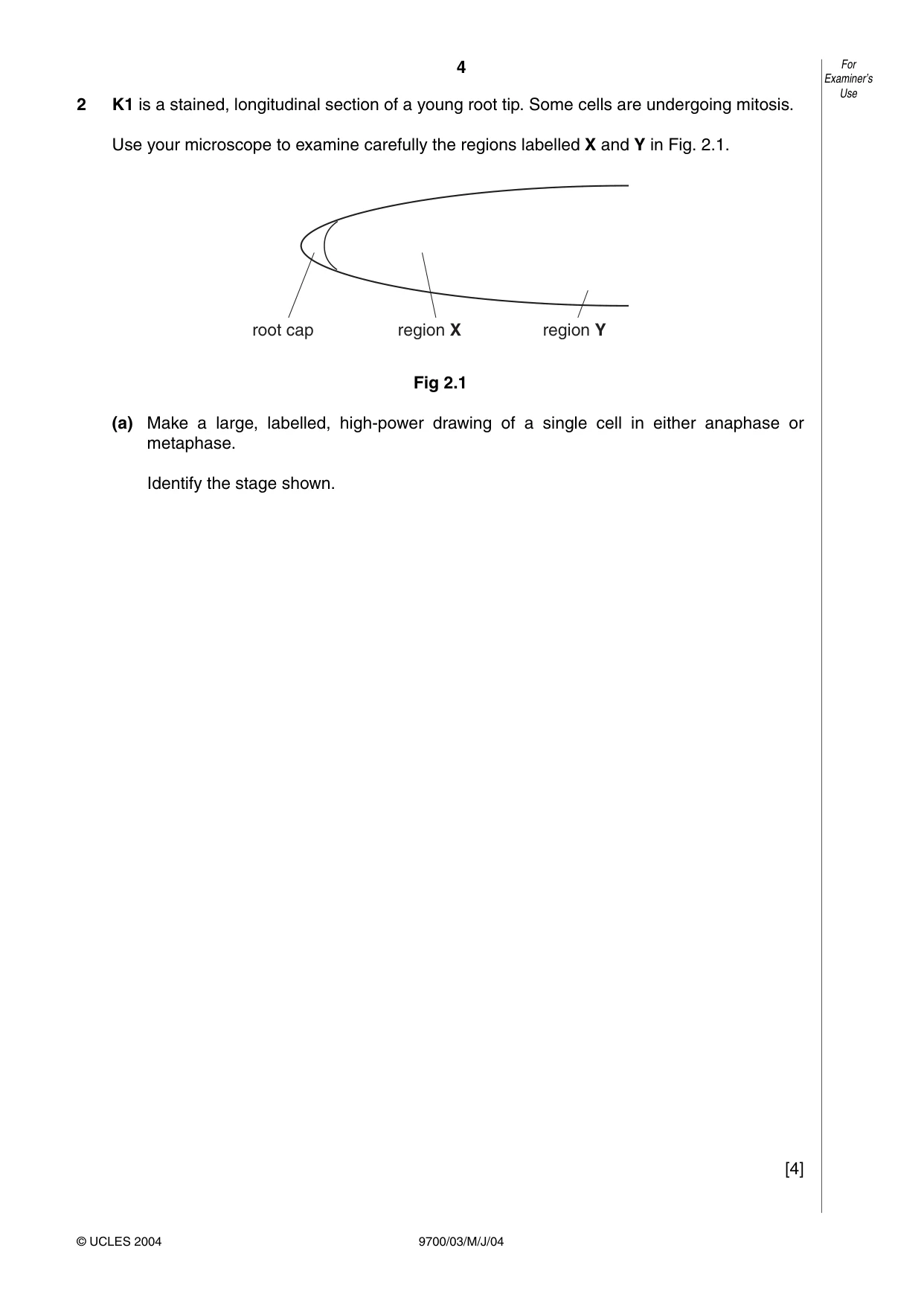 Cambridge A Level Biology 9700 2004 May/June Paper 3 · Variant 1 question paper, page 4 of 8
