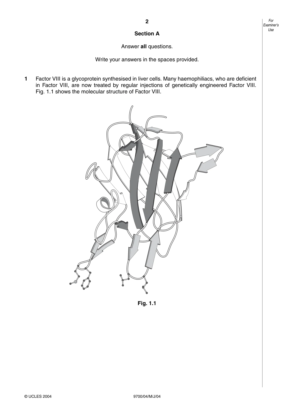 Cambridge A Level Biology 9700 2004 May/June Paper 4 · Variant 1 question paper, page 2 of 12