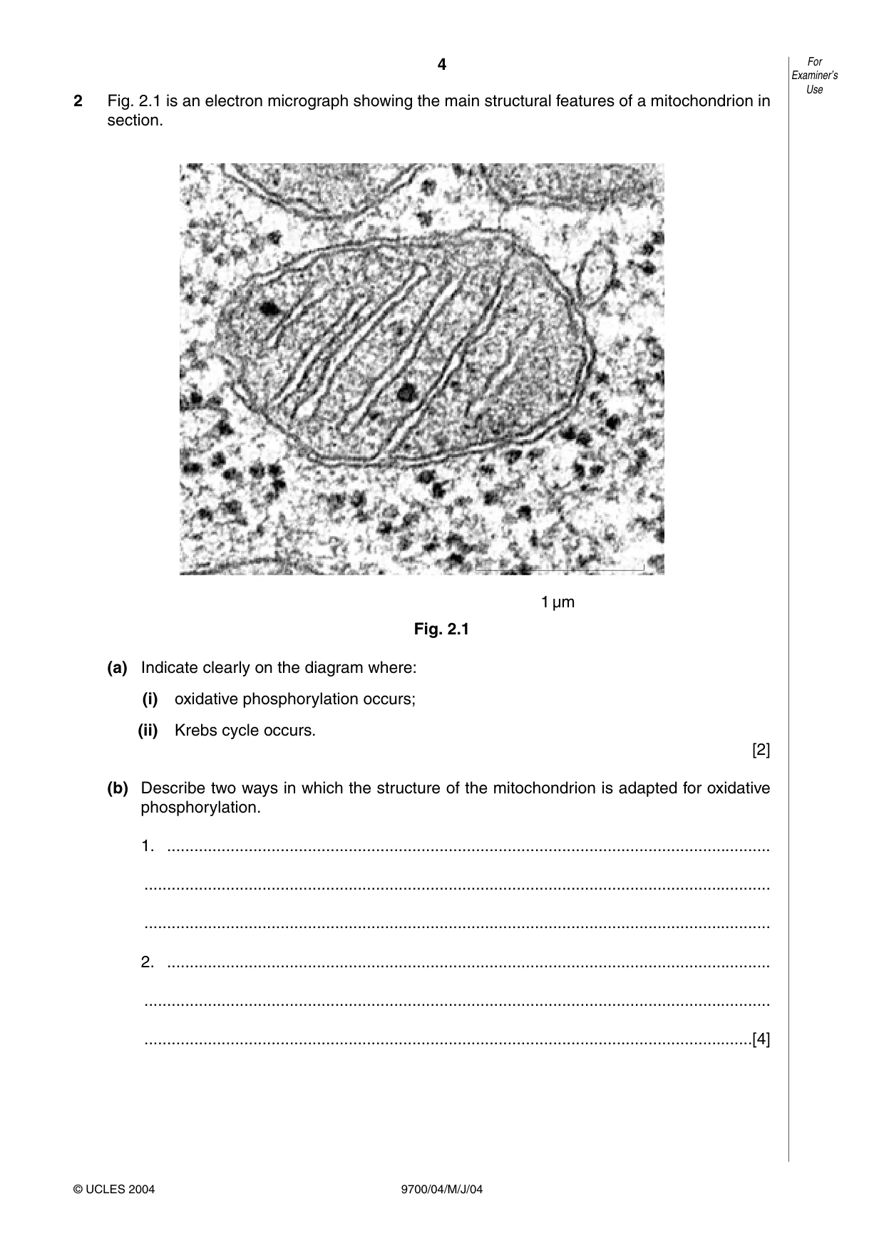 Cambridge A Level Biology 9700 2004 May/June Paper 4 · Variant 1 question paper, page 4 of 12