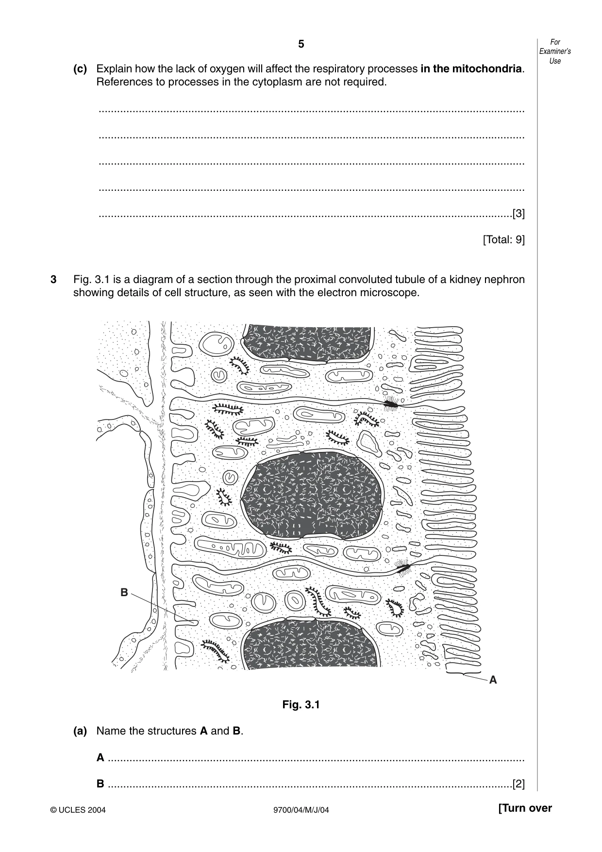Cambridge A Level Biology 9700 2004 May/June Paper 4 · Variant 1 question paper, page 5 of 12