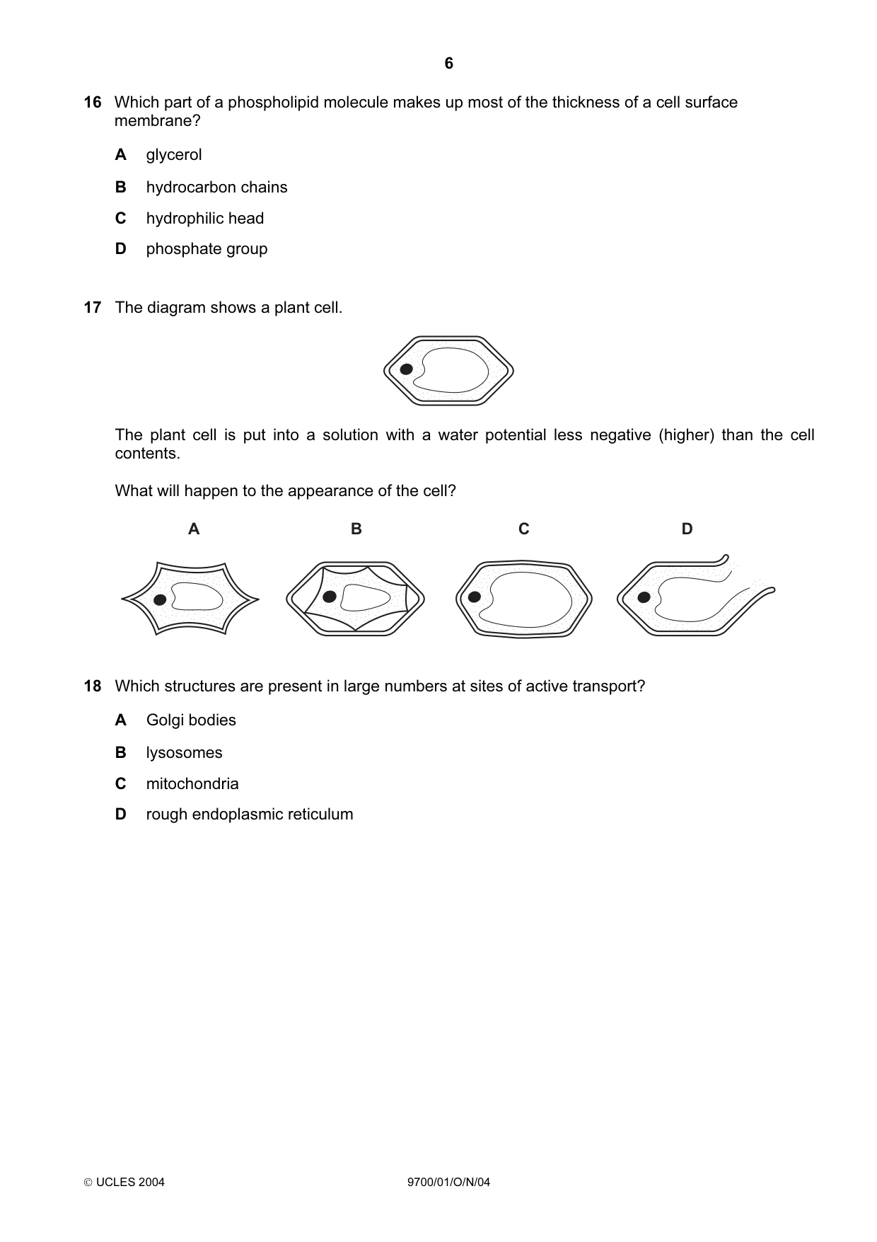 Cambridge A Level Biology 9700 2004 Oct/Nov Paper 1 · Variant 1 question paper, page 6 of 16