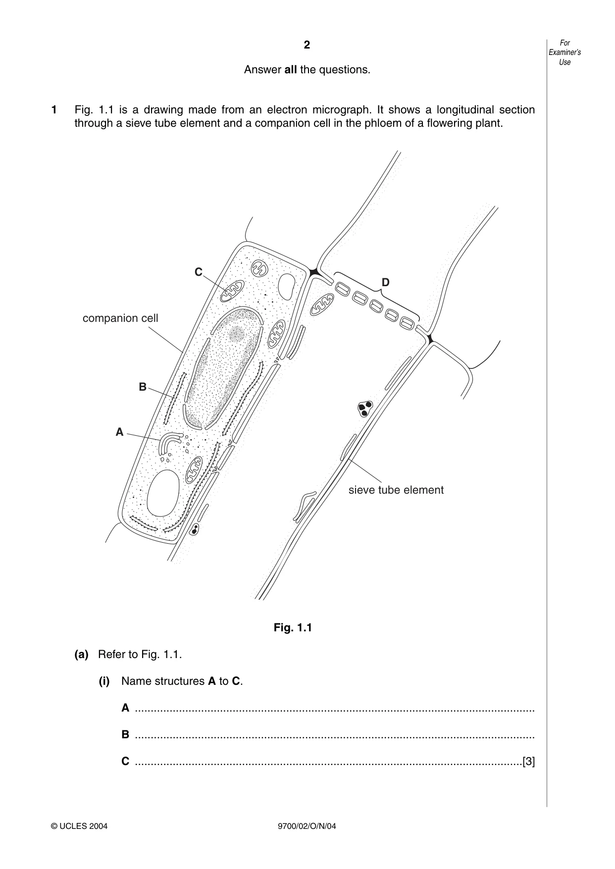 Cambridge A Level Biology 9700 2004 Oct/Nov Paper 2 · Variant 1 question paper, page 2 of 16