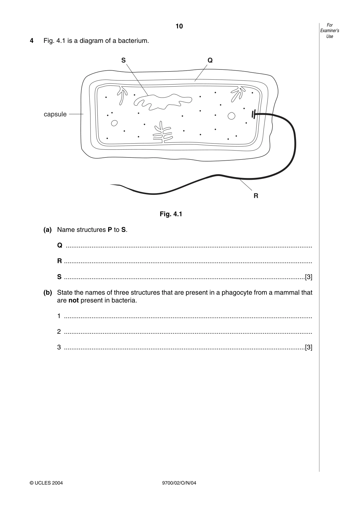 Cambridge A Level Biology 9700 2004 Oct/Nov Paper 2 · Variant 1 question paper, page 10 of 16