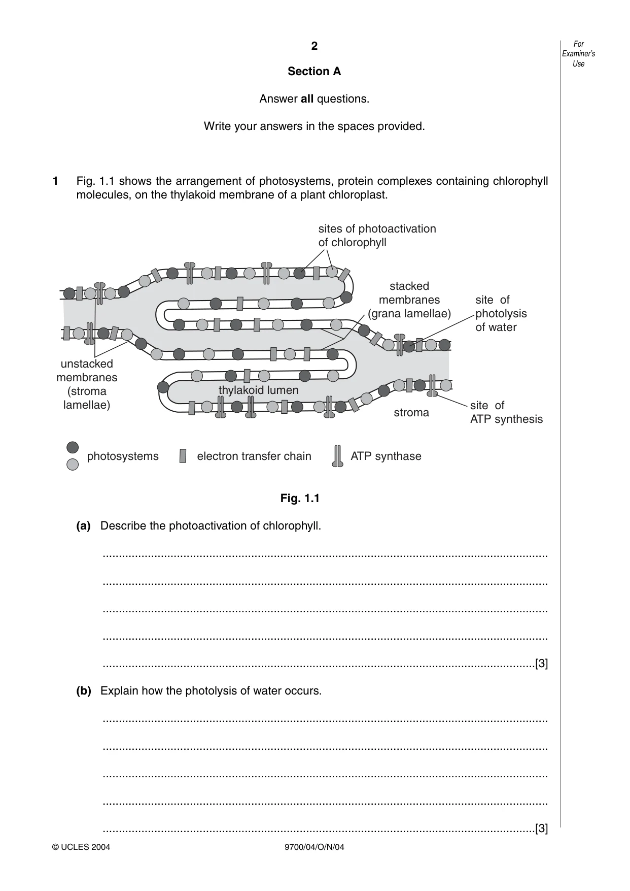 Cambridge A Level Biology 9700 2004 Oct/Nov Paper 4 · Variant 1 question paper, page 2 of 12
