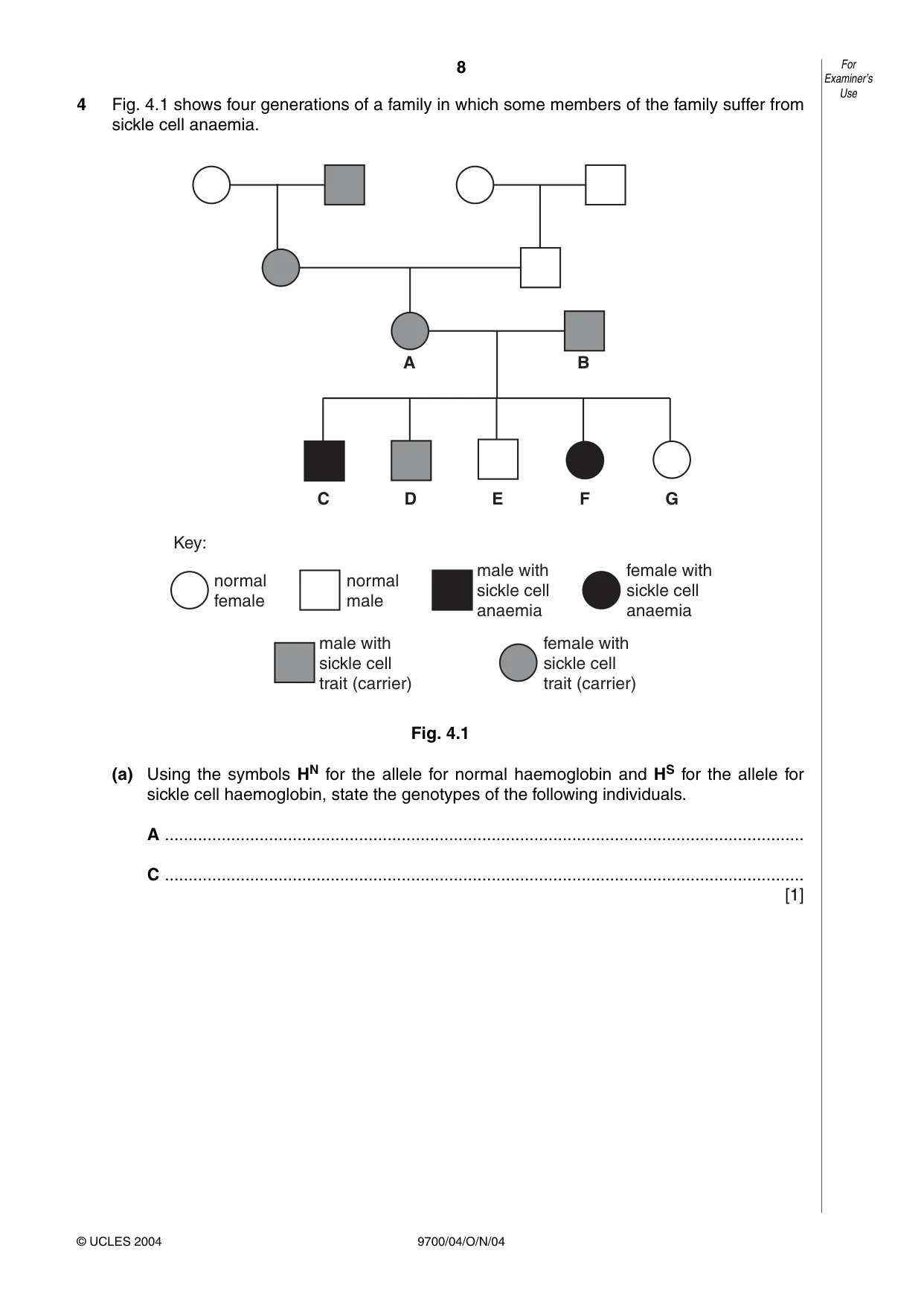 Cambridge A Level Biology 9700 2004 Oct/Nov Paper 4 · Variant 1 question paper, page 8 of 12