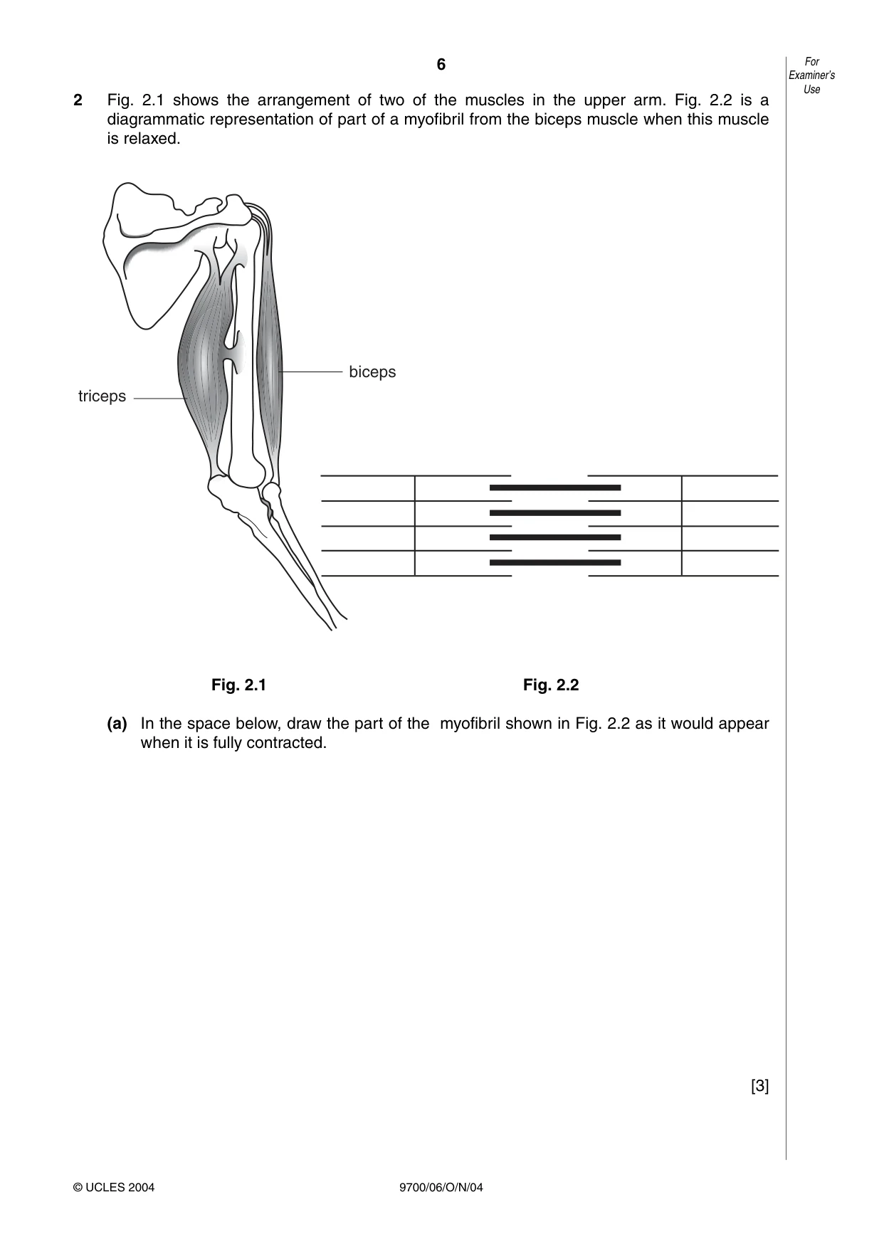Cambridge A Level Biology 9700 2004 Oct/Nov Paper 6 · Variant 1 question paper, page 6 of 36