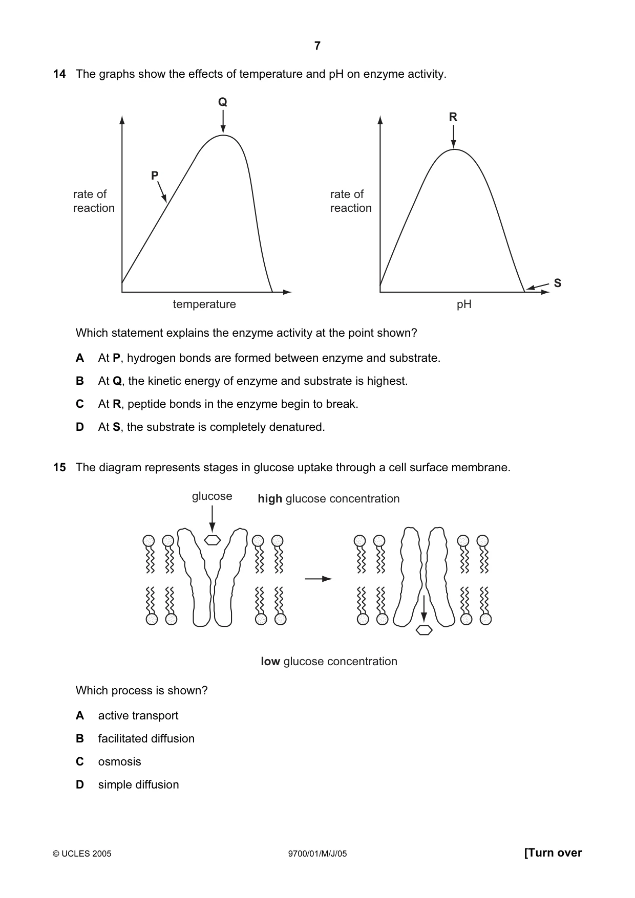 Cambridge A Level Biology 9700 2005 May/June Paper 1 · Variant 1 question paper, page 7 of 20