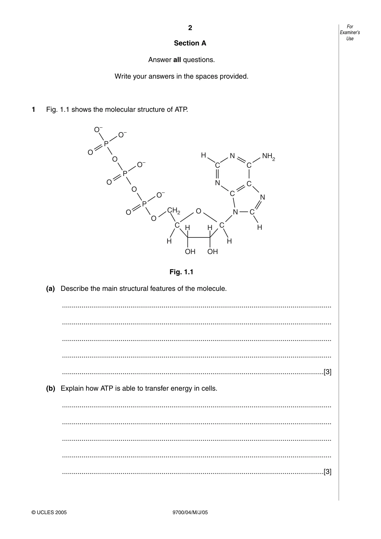 Cambridge A Level Biology 9700 2005 May/June Paper 4 · Variant 1 question paper, page 2 of 12