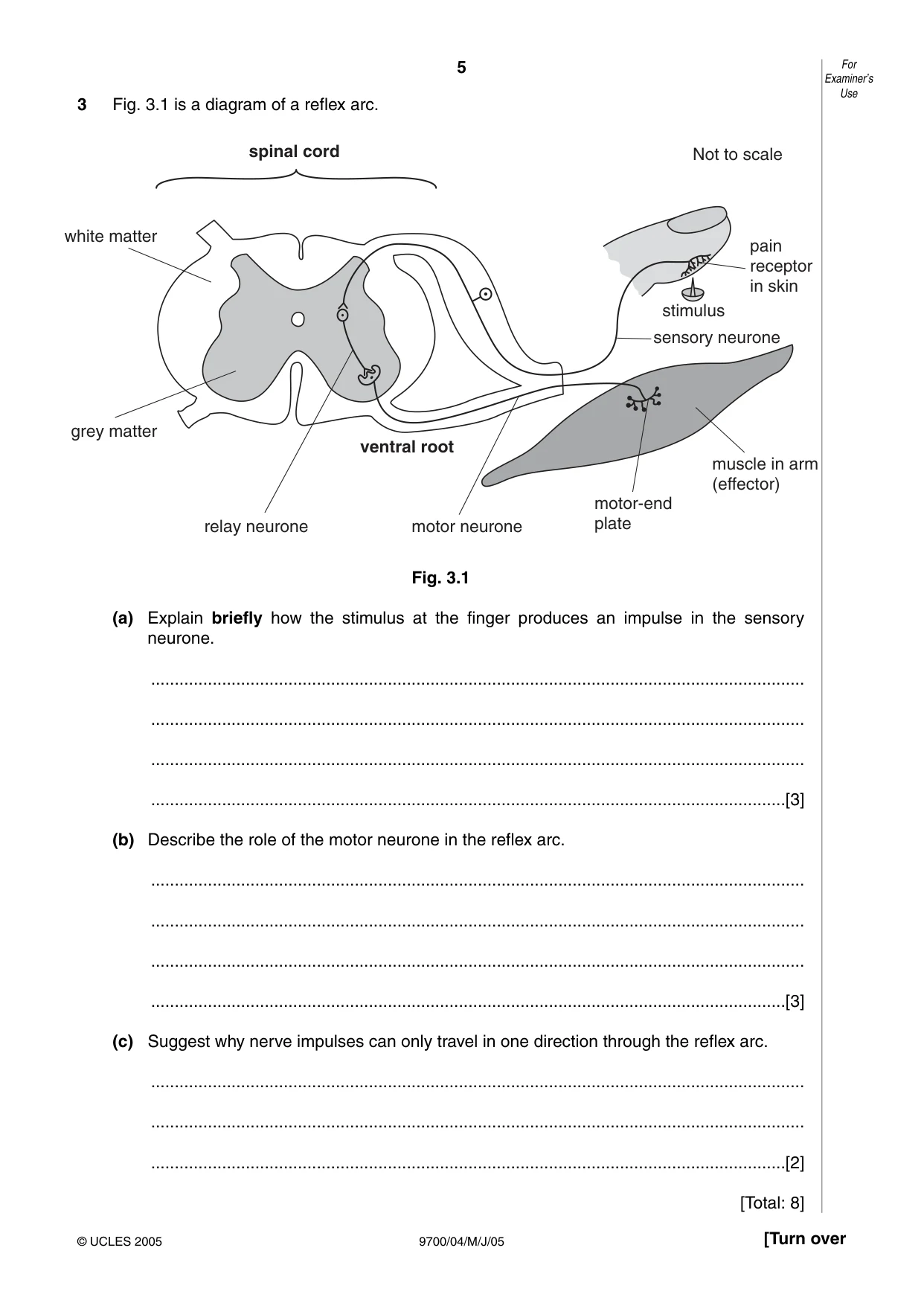 Cambridge A Level Biology 9700 2005 May/June Paper 4 · Variant 1 question paper, page 5 of 12