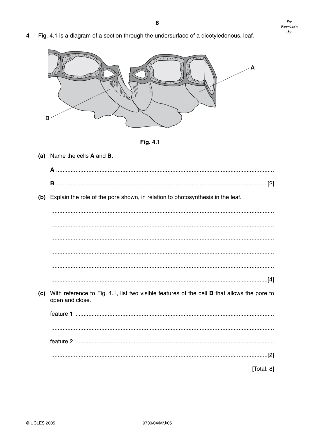 Cambridge A Level Biology 9700 2005 May/June Paper 4 · Variant 1 question paper, page 6 of 12