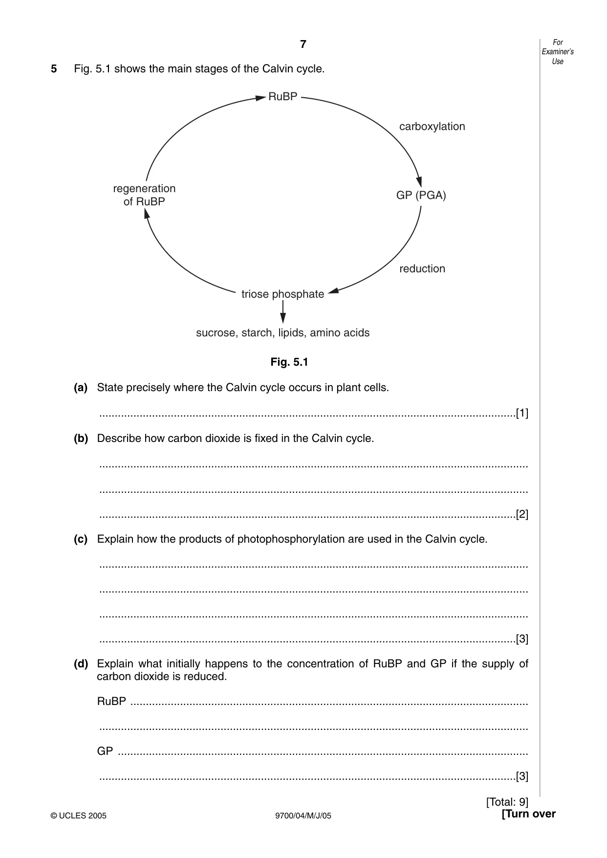 Cambridge A Level Biology 9700 2005 May/June Paper 4 · Variant 1 question paper, page 7 of 12