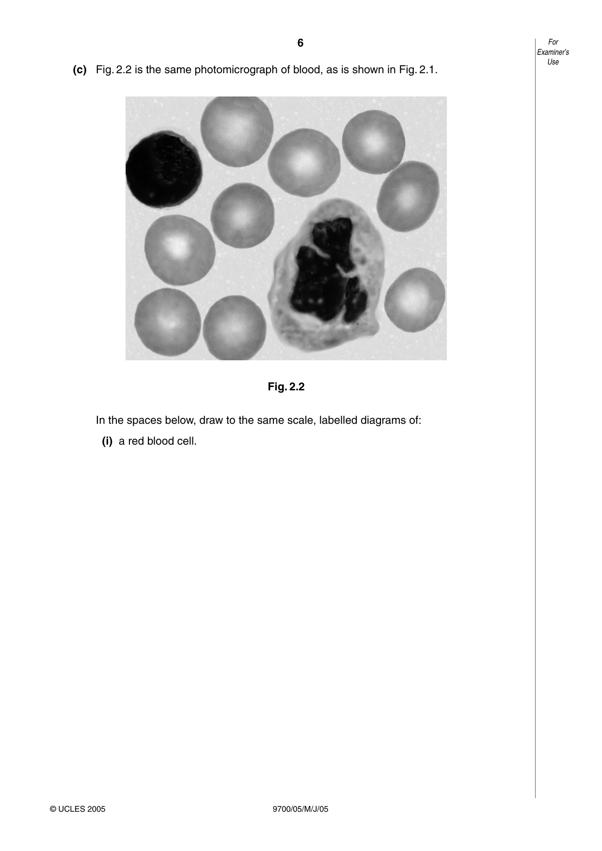 Cambridge A Level Biology 9700 2005 May/June Paper 5 · Variant 1 question paper, page 6 of 8