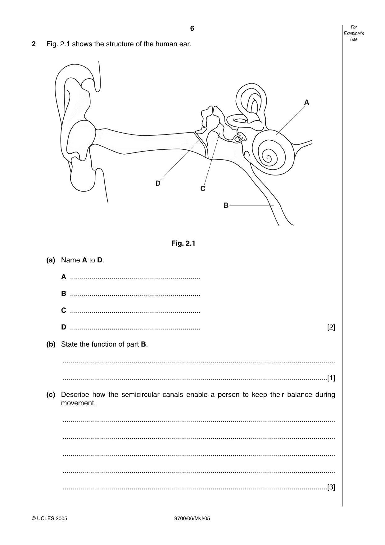 Cambridge A Level Biology 9700 2005 May/June Paper 6 · Variant 1 question paper, page 6 of 36