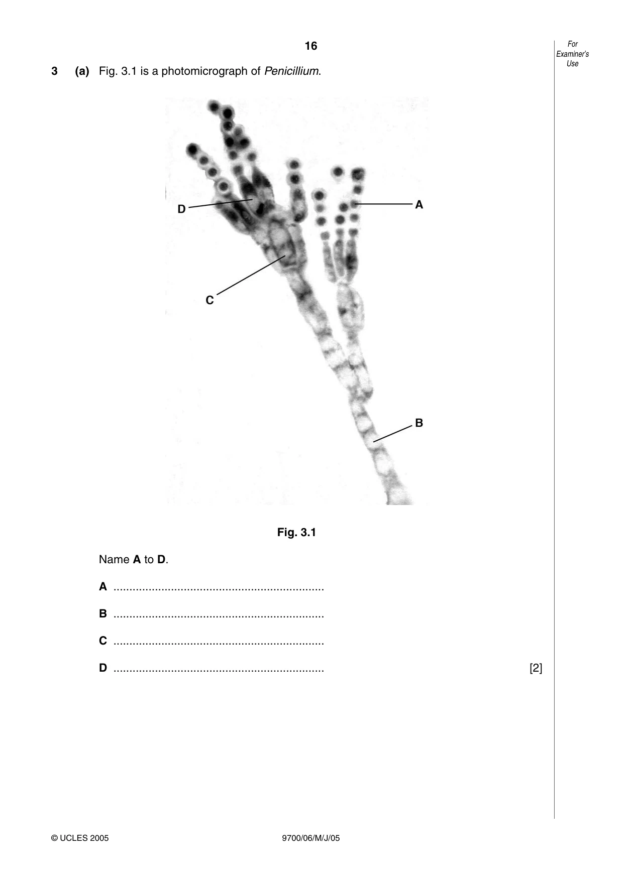 Cambridge A Level Biology 9700 2005 May/June Paper 6 · Variant 1 question paper, page 16 of 36