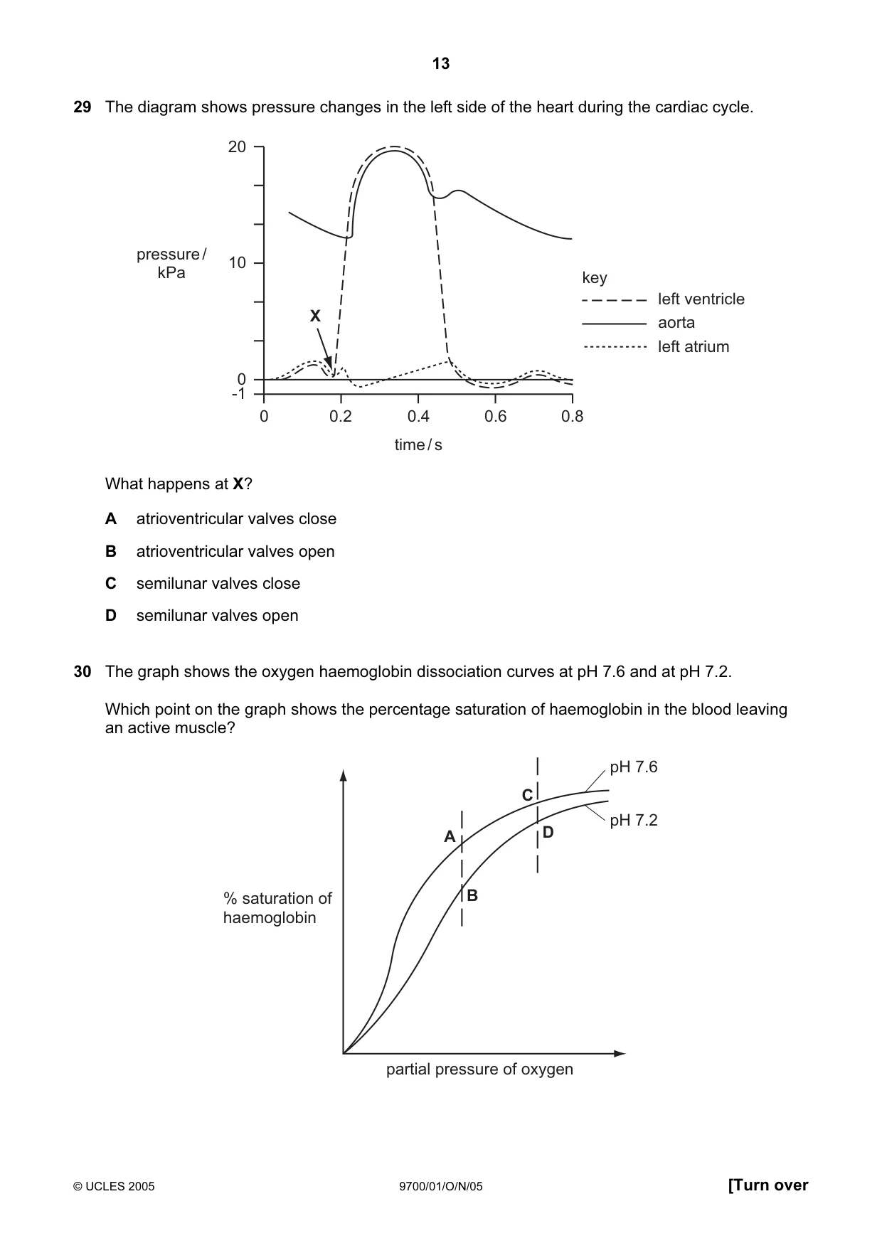 Cambridge A Level Biology 9700 2005 Oct/Nov Paper 1 · Variant 1 question paper, page 13 of 16