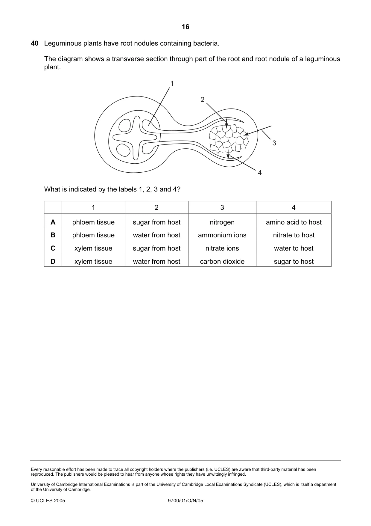 Cambridge A Level Biology 9700 2005 Oct/Nov Paper 1 · Variant 1 question paper, page 16 of 16