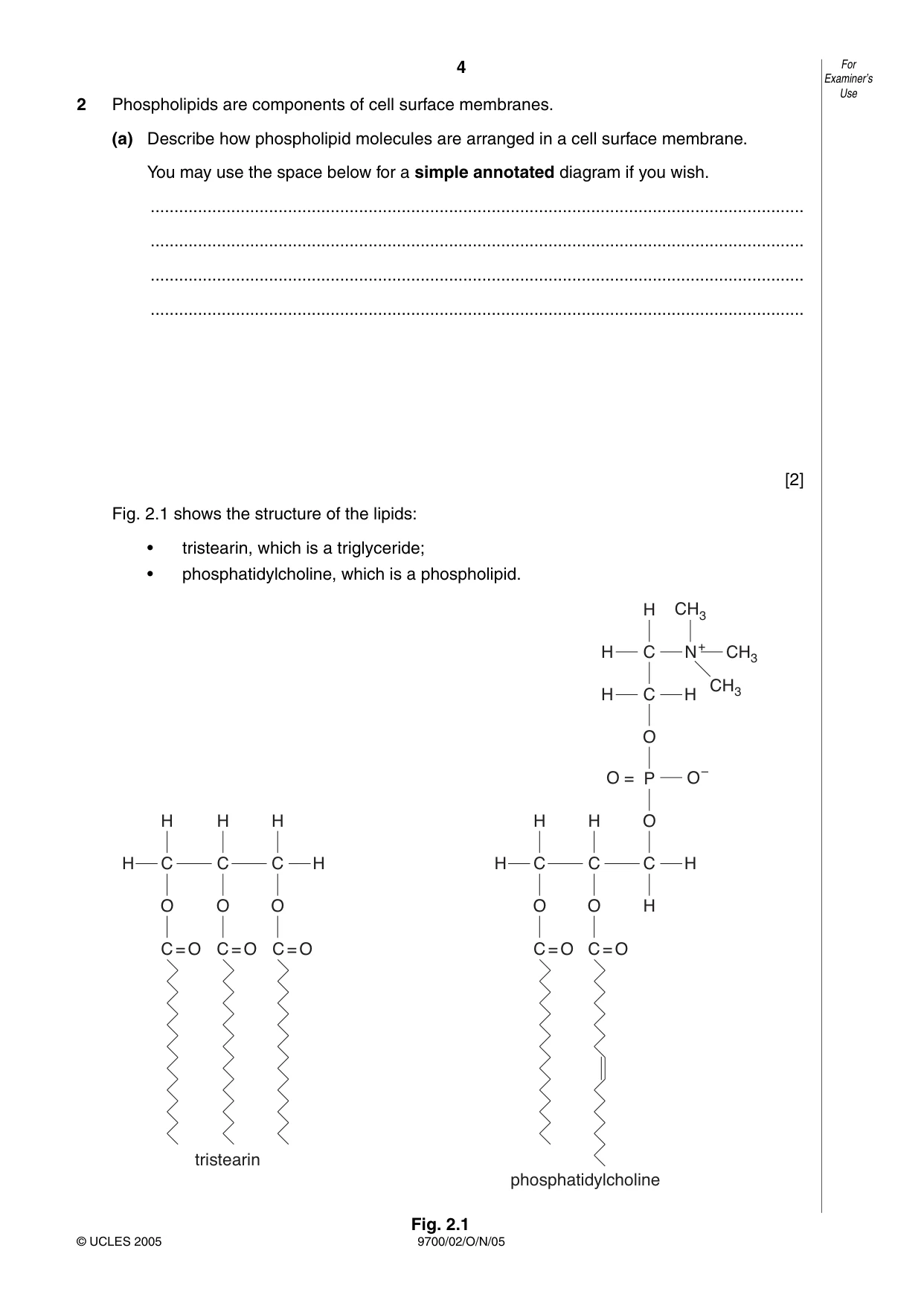 Cambridge A Level Biology 9700 2005 Oct/Nov Paper 2 · Variant 1 question paper, page 4 of 16