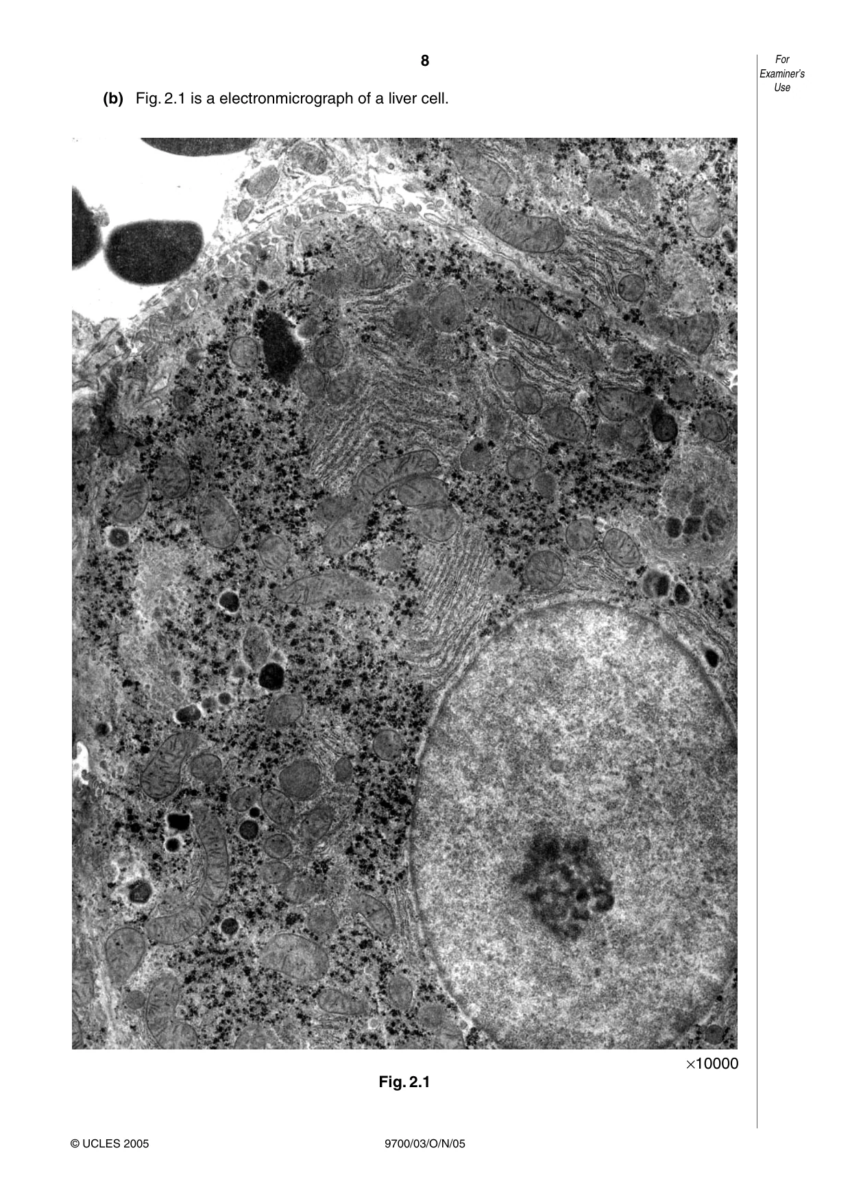 Cambridge A Level Biology 9700 2005 Oct/Nov Paper 3 · Variant 1 question paper, page 8 of 12