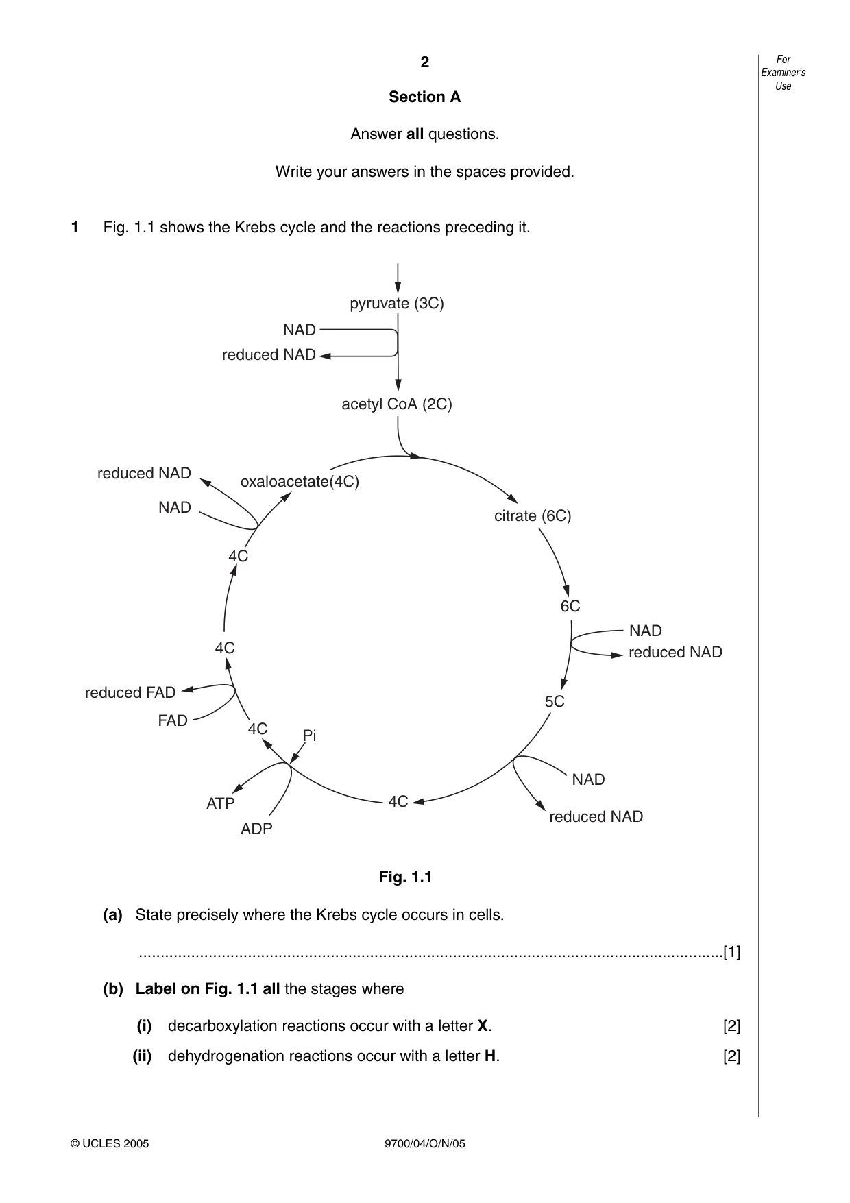 Cambridge A Level Biology 9700 2005 Oct/Nov Paper 4 · Variant 1 question paper, page 2 of 12
