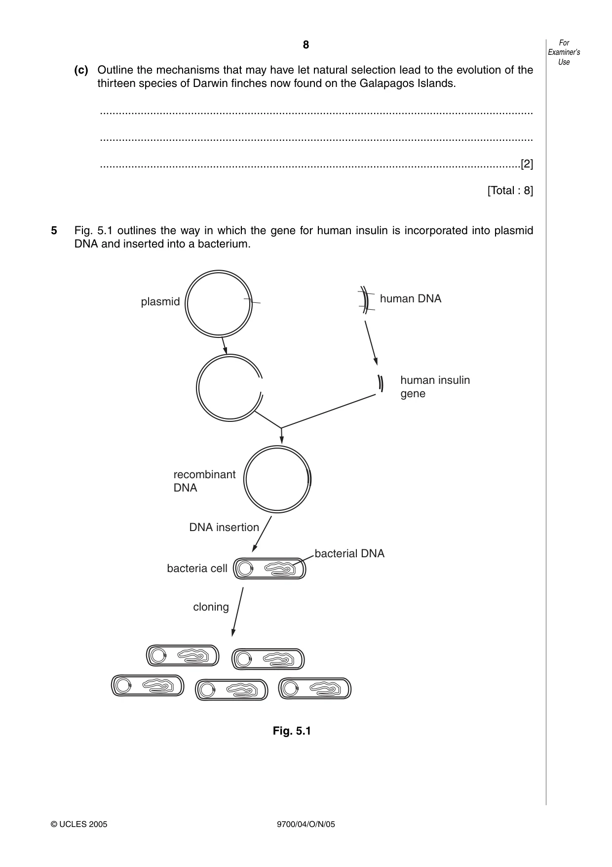 Cambridge A Level Biology 9700 2005 Oct/Nov Paper 4 · Variant 1 question paper, page 8 of 12