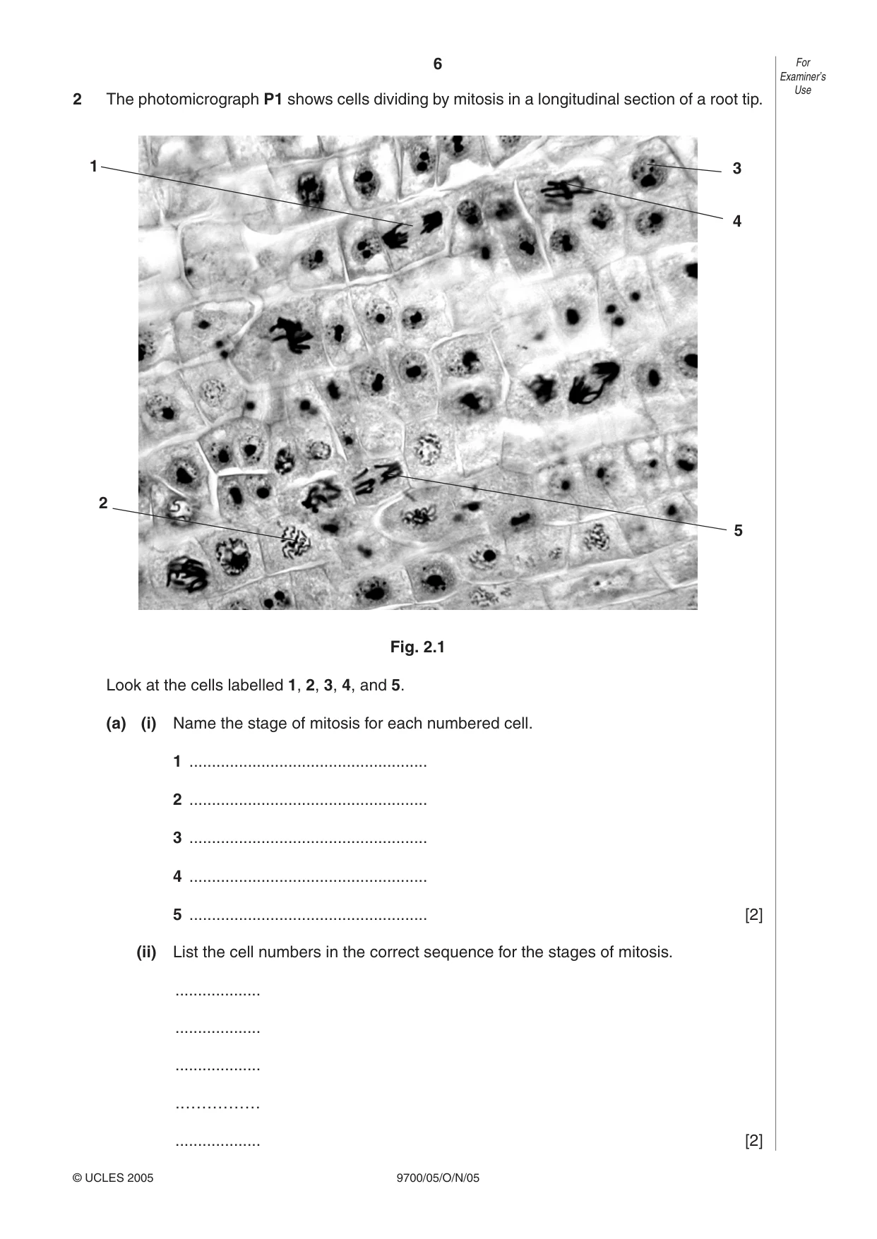 Cambridge A Level Biology 9700 2005 Oct/Nov Paper 5 · Variant 1 question paper, page 6 of 8