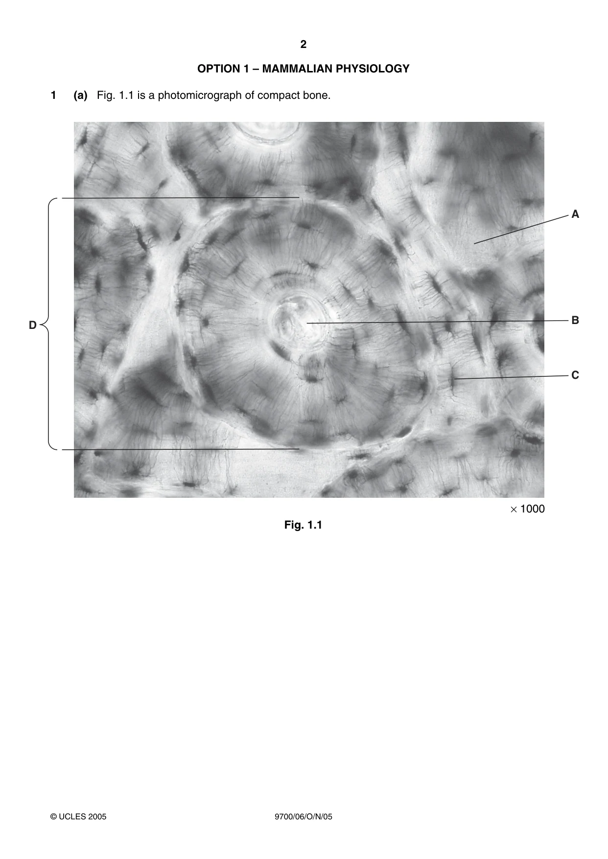 Cambridge A Level Biology 9700 2005 Oct/Nov Paper 6 · Variant 1 question paper, page 2 of 36