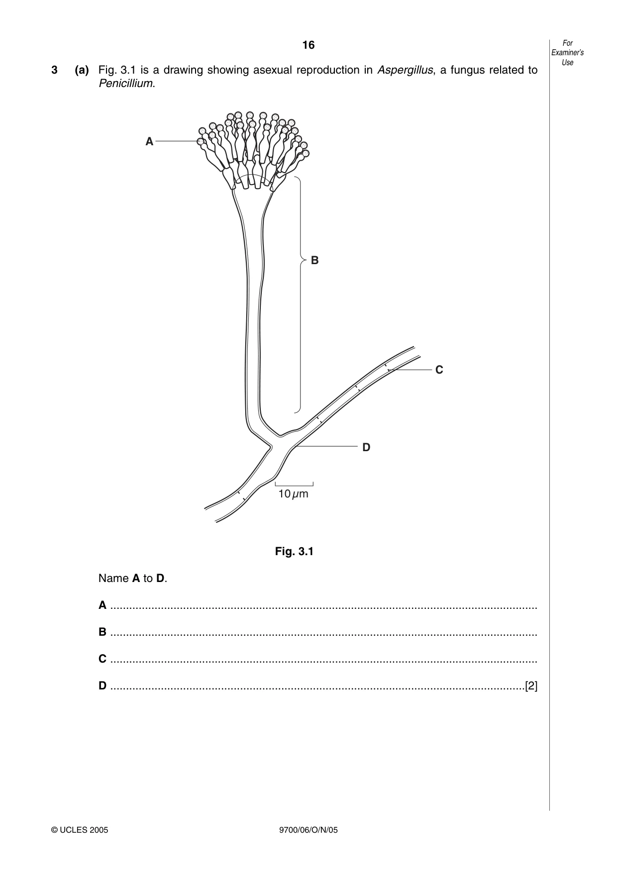 Cambridge A Level Biology 9700 2005 Oct/Nov Paper 6 · Variant 1 question paper, page 16 of 36