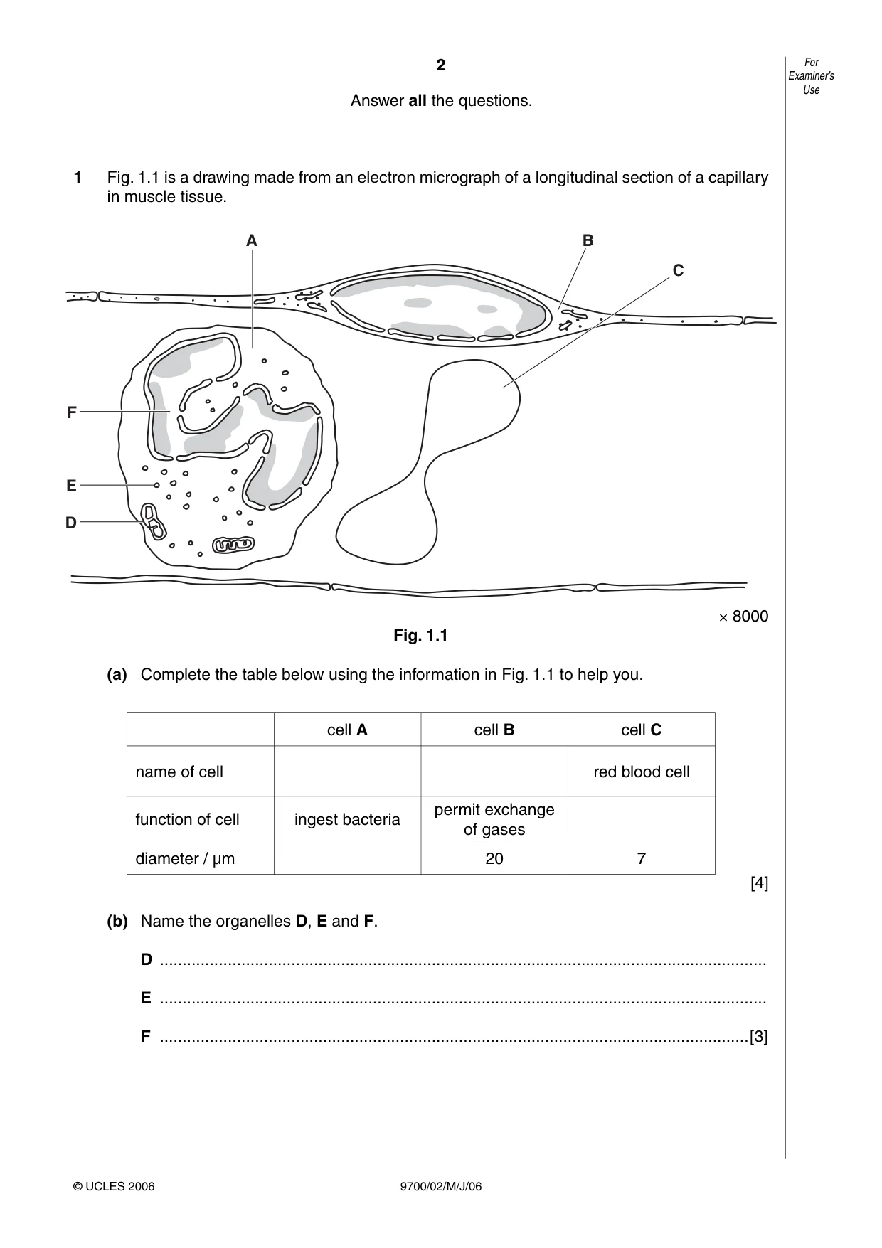 Cambridge A Level Biology 9700 2006 May/June Paper 2 · Variant 1 question paper, page 2 of 16
