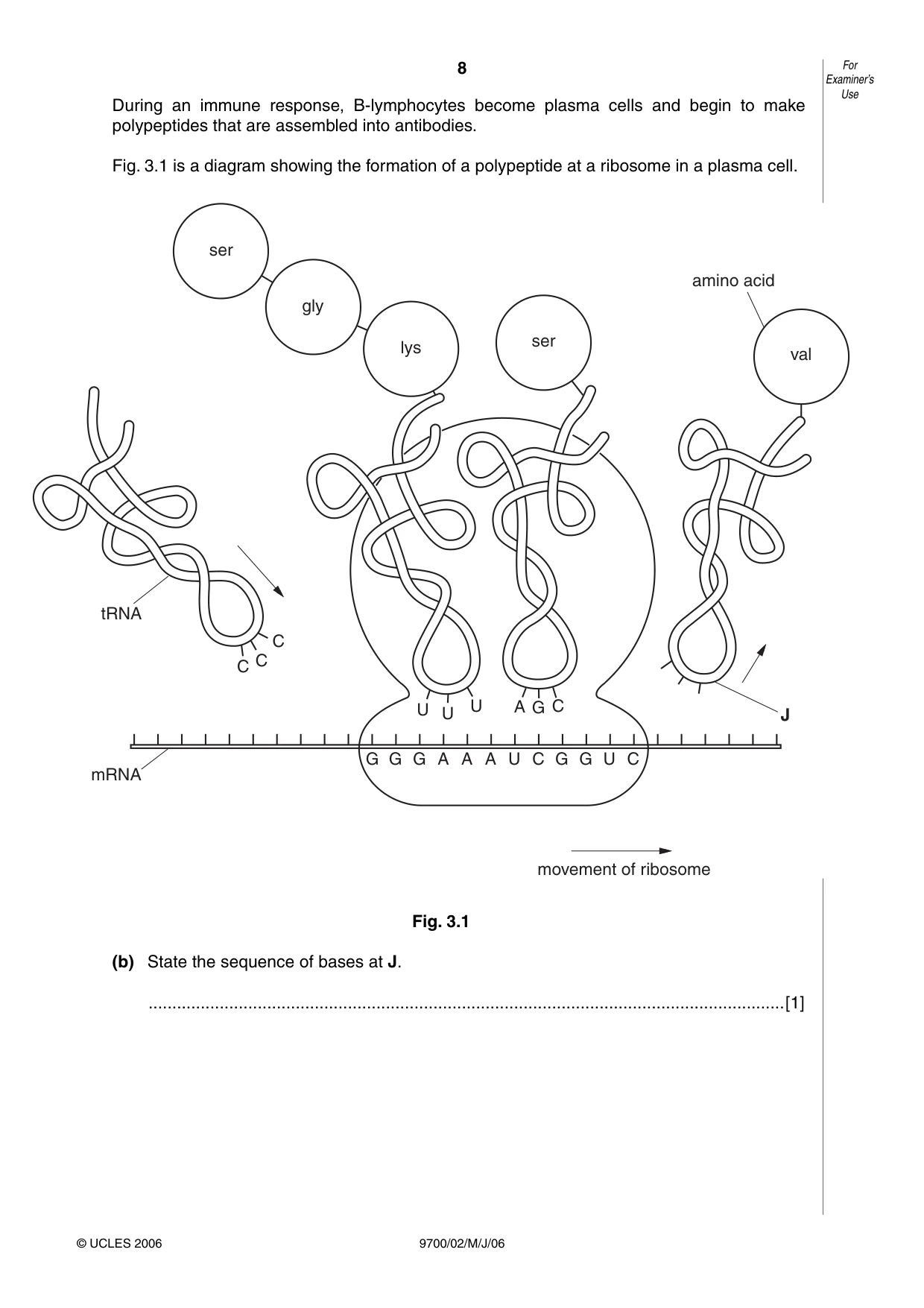 Cambridge A Level Biology 9700 2006 May/June Paper 2 · Variant 1 question paper, page 8 of 16