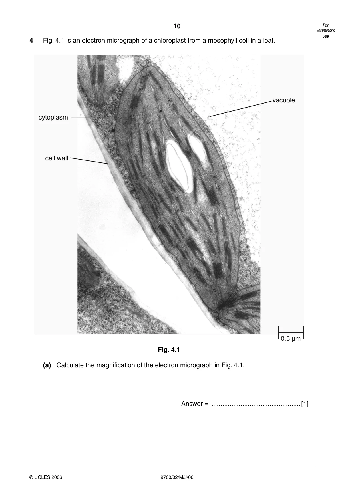Cambridge A Level Biology 9700 2006 May/June Paper 2 · Variant 1 question paper, page 10 of 16